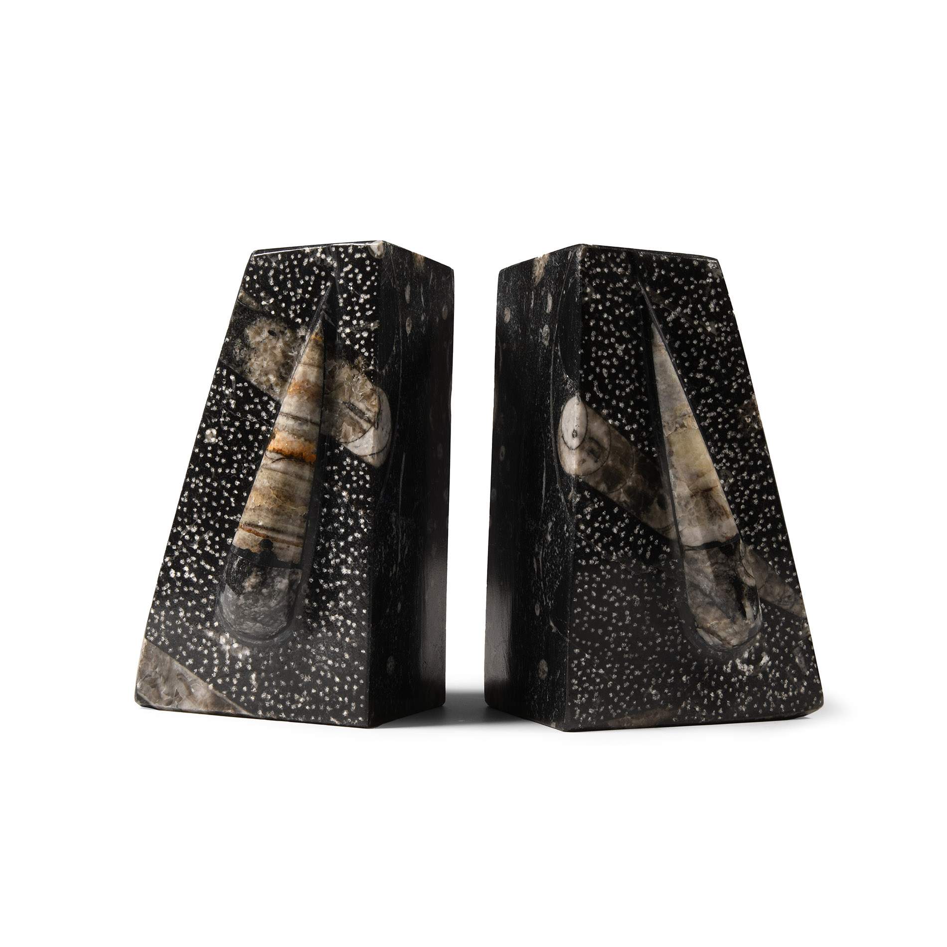 Natural History - Polished Fossil Orthoceras Book Ends