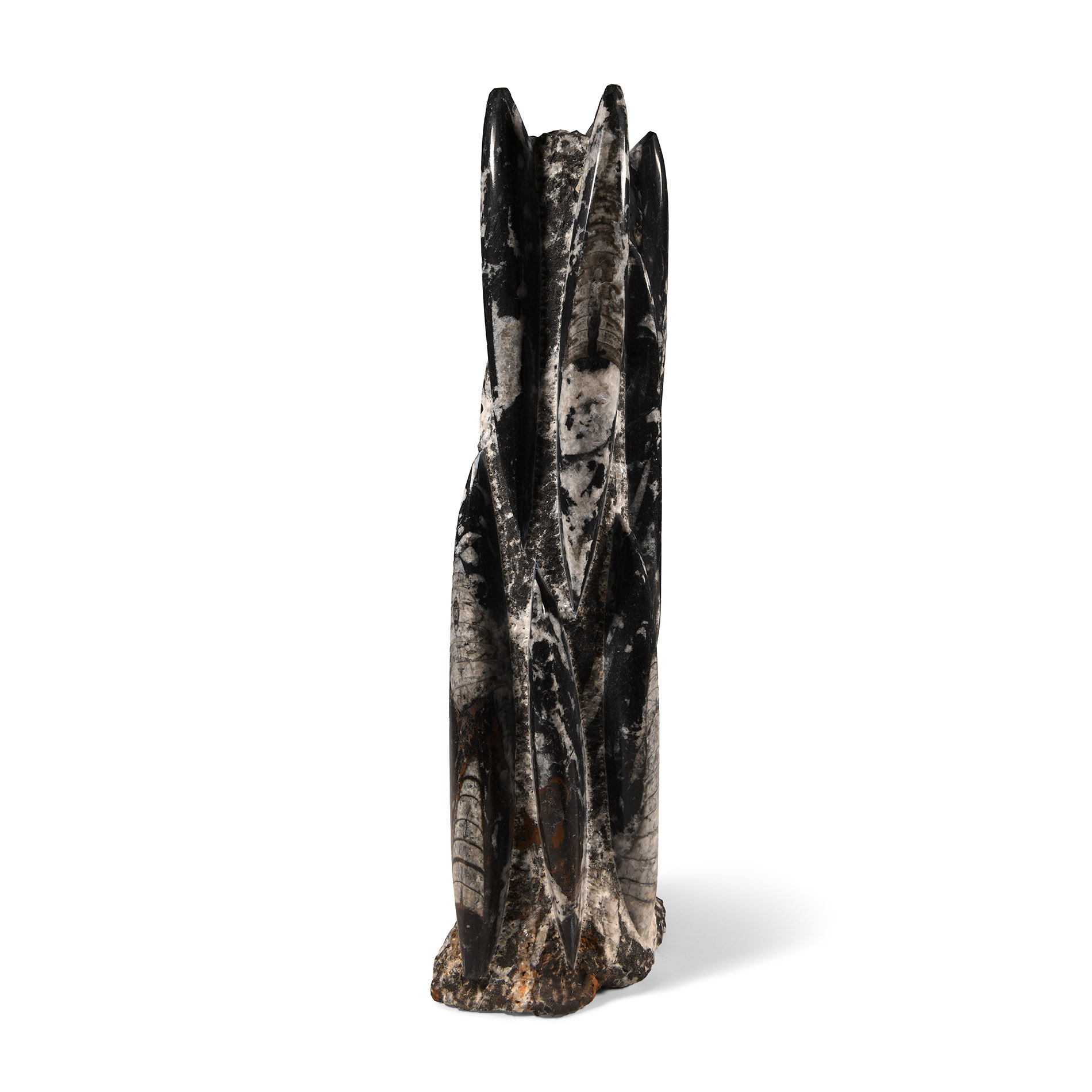 Natural History - Large Polished Fossil Orthoceras Tower