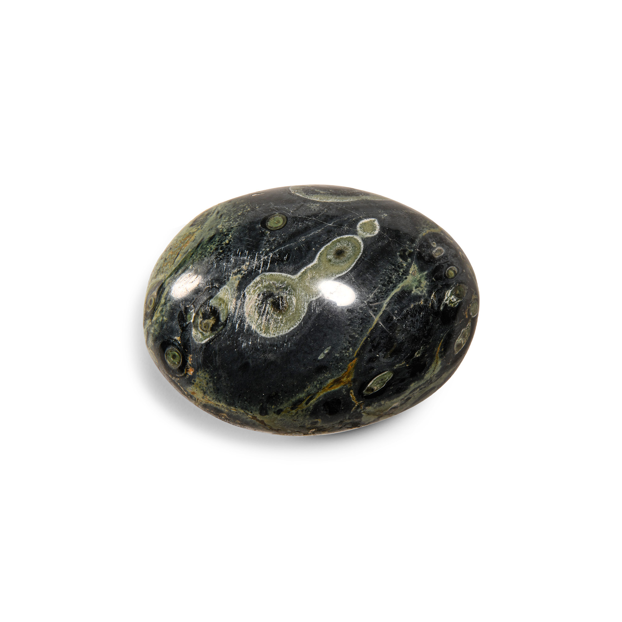 Natural History - Polished Kambaba Orbicular Bacteria Jasper Palm Stone