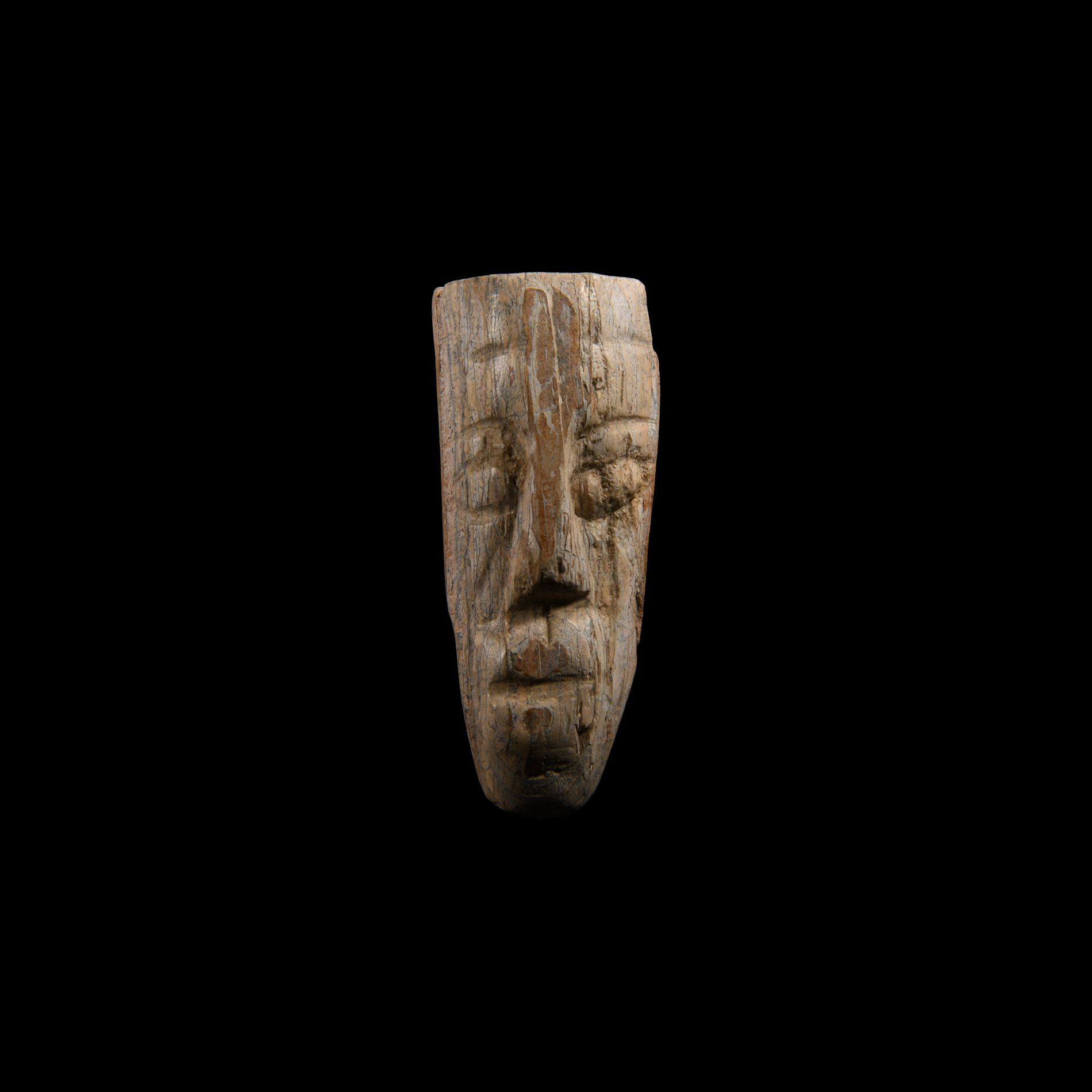 Natural History - Mastodon Fossil Tusk Carving
