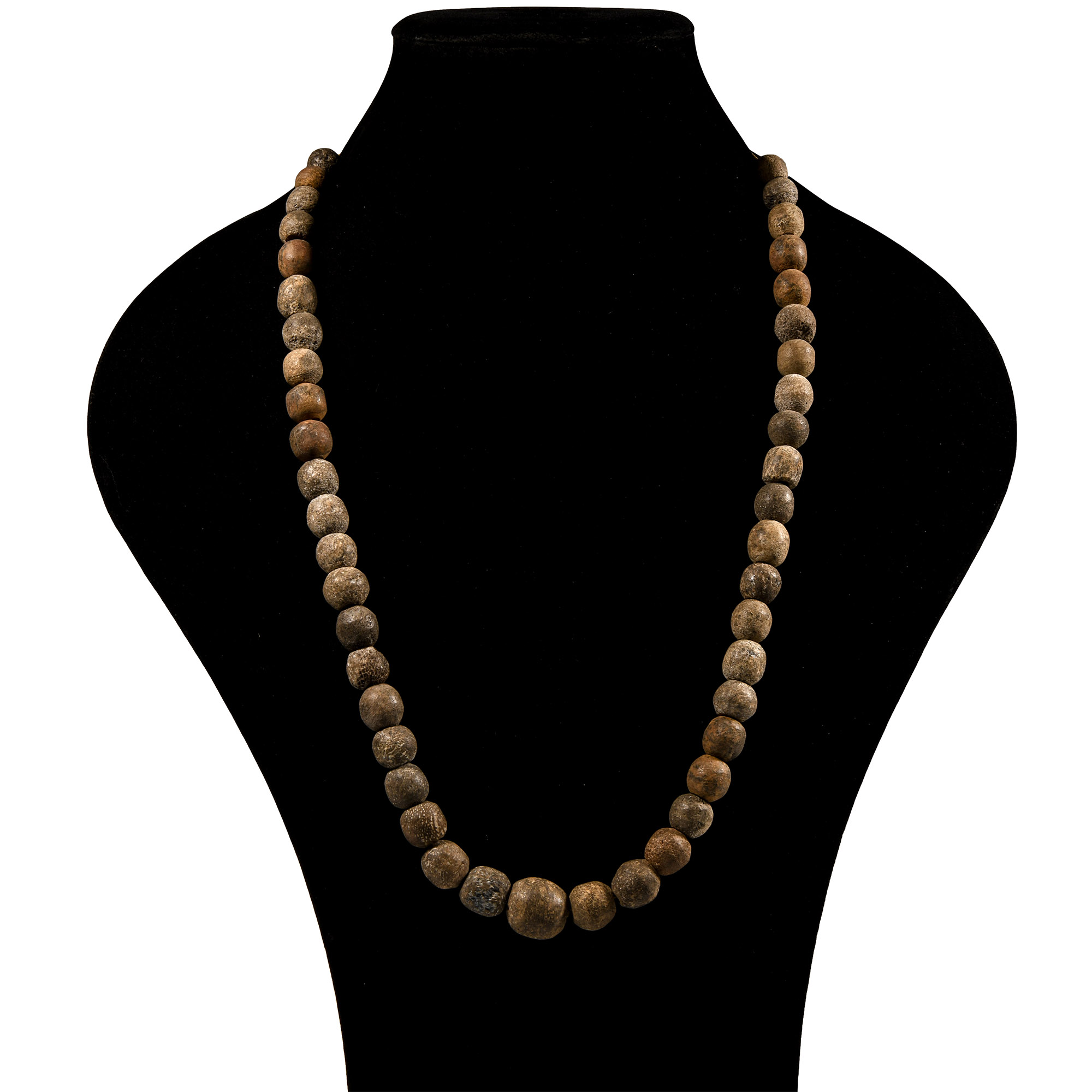 Natural History - Woolly Mammoth Bone Bead Necklace String