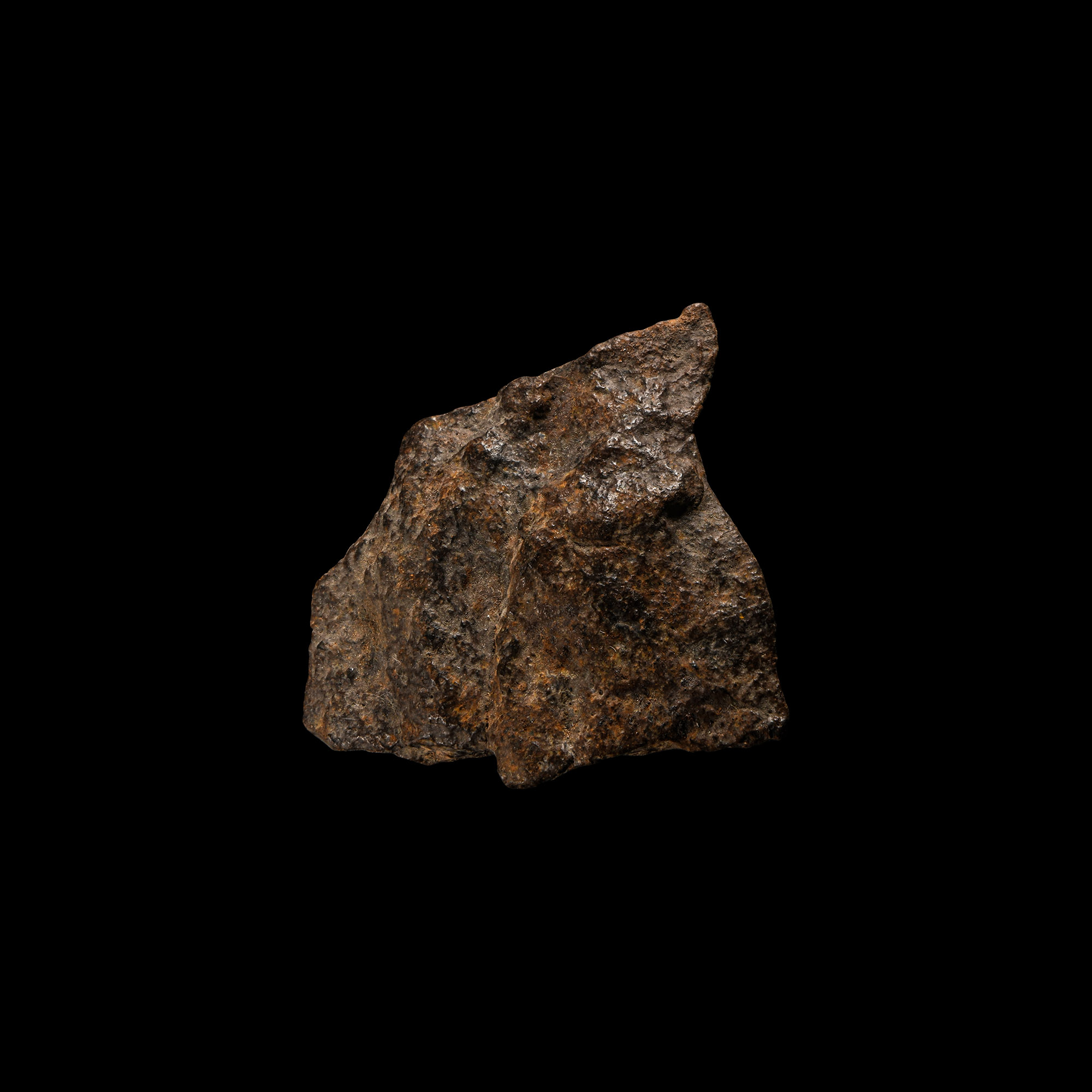 Natural History - Stony Iron Meteorite