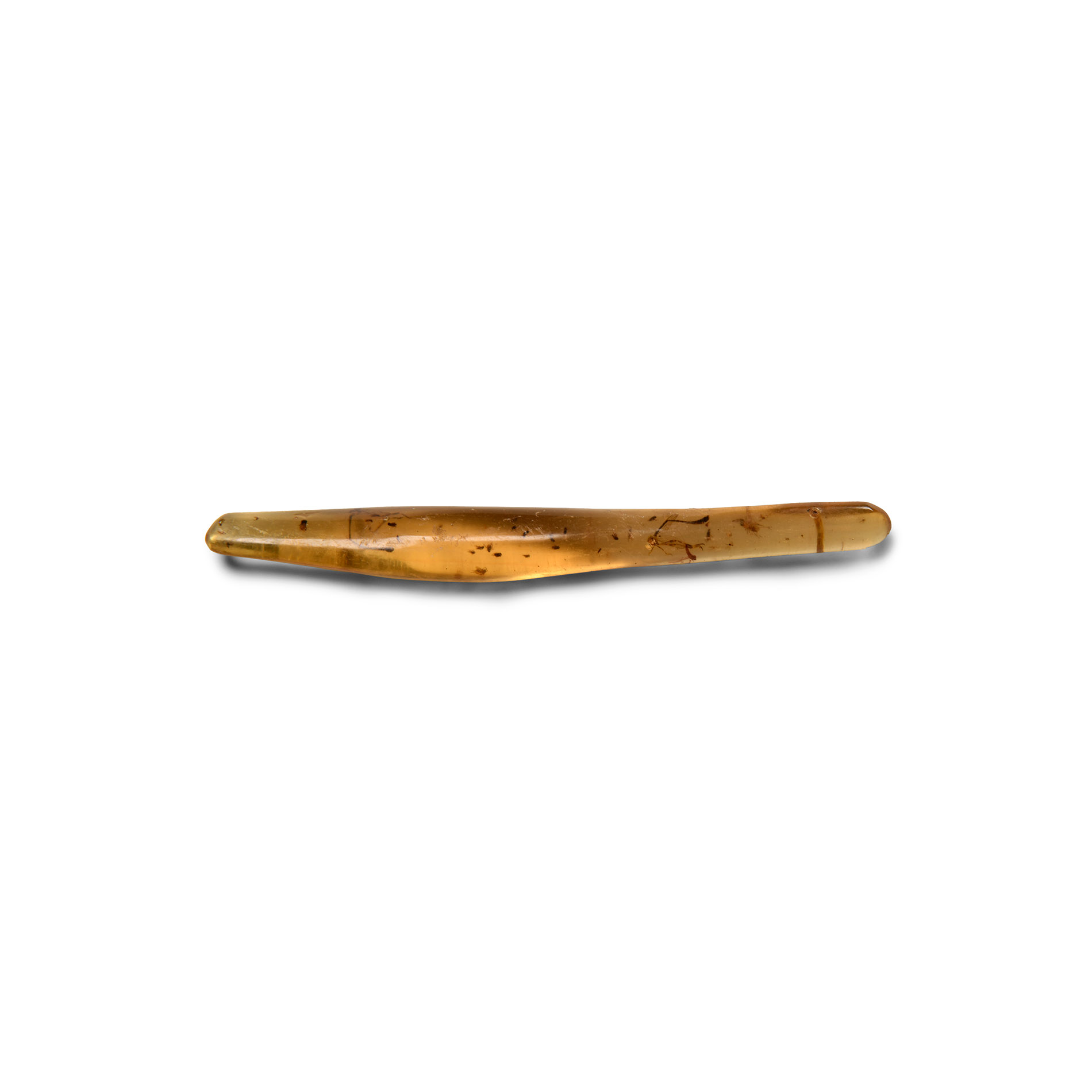 Natural History - Polished Copal with Insects