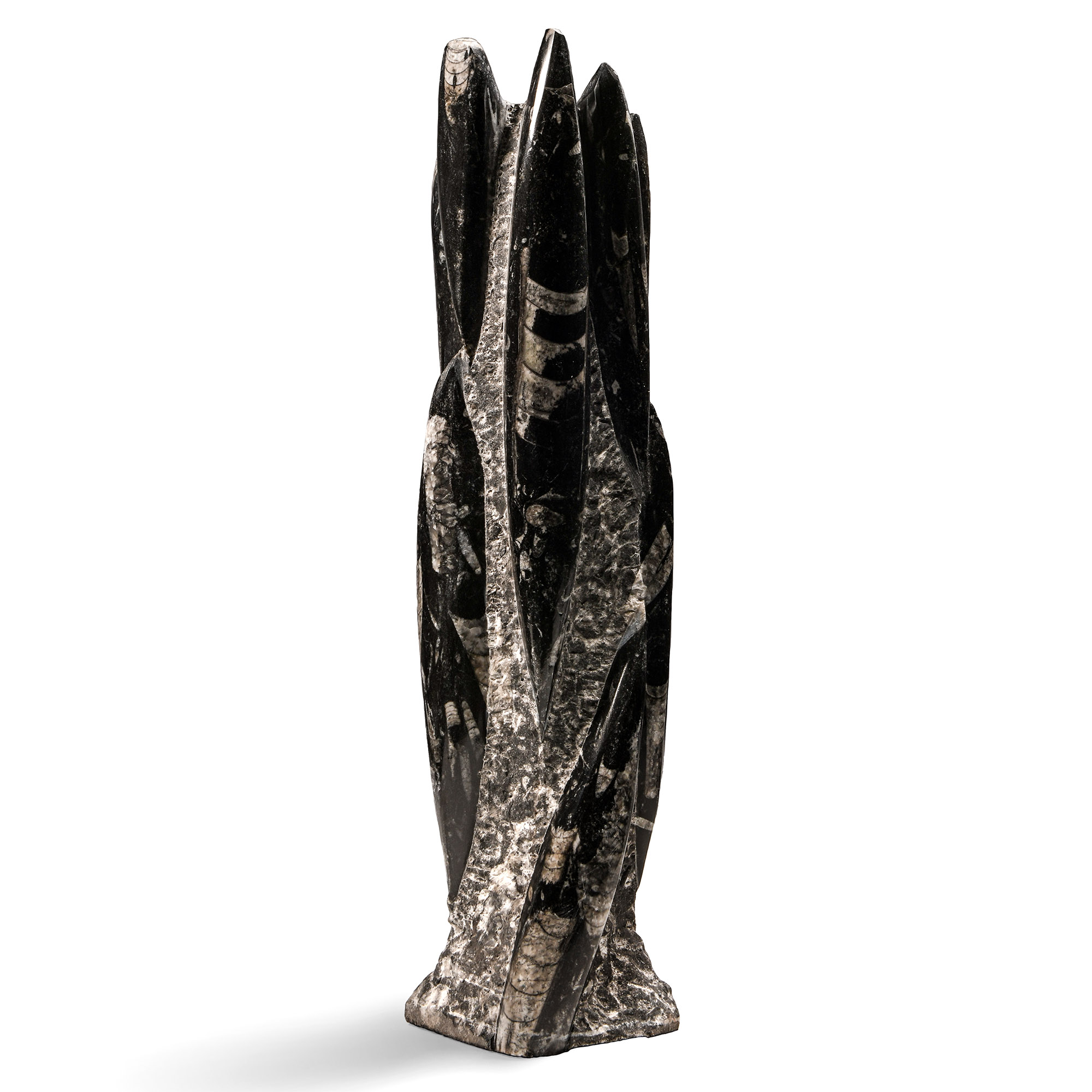 Natural History - Large Orthoceras Fossil Tower