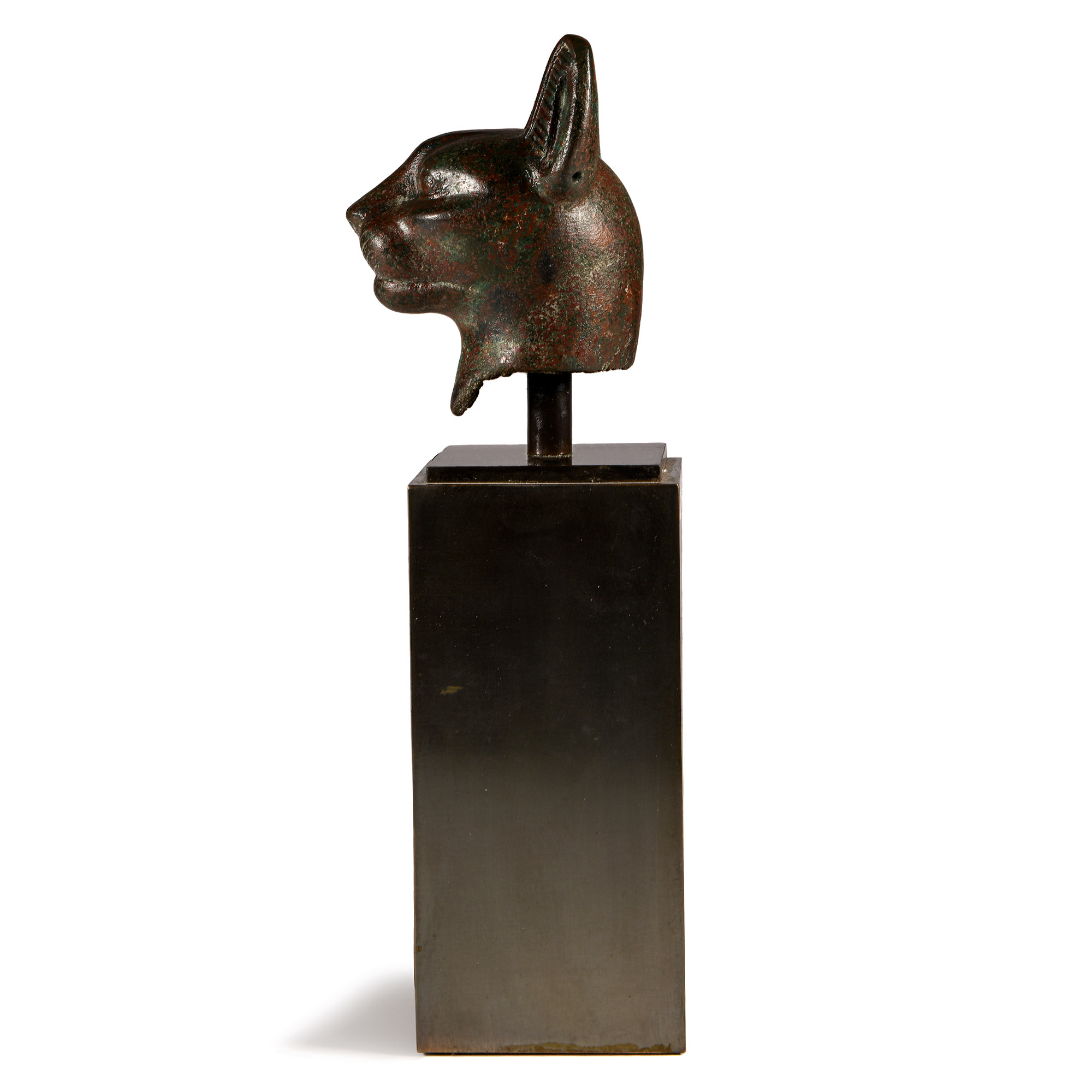 Large Egyptian Bronze Head of a Cat
