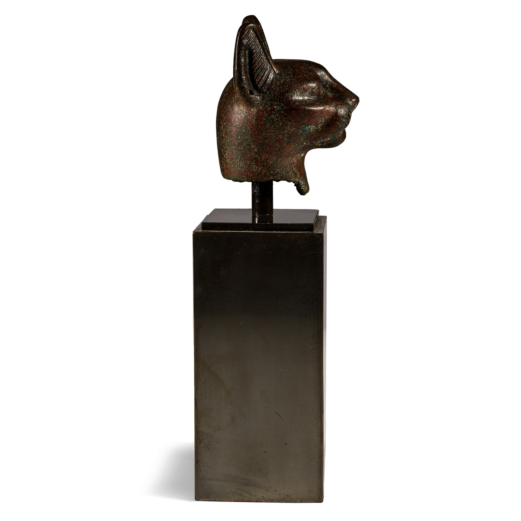 Large Egyptian Bronze Head of a Cat