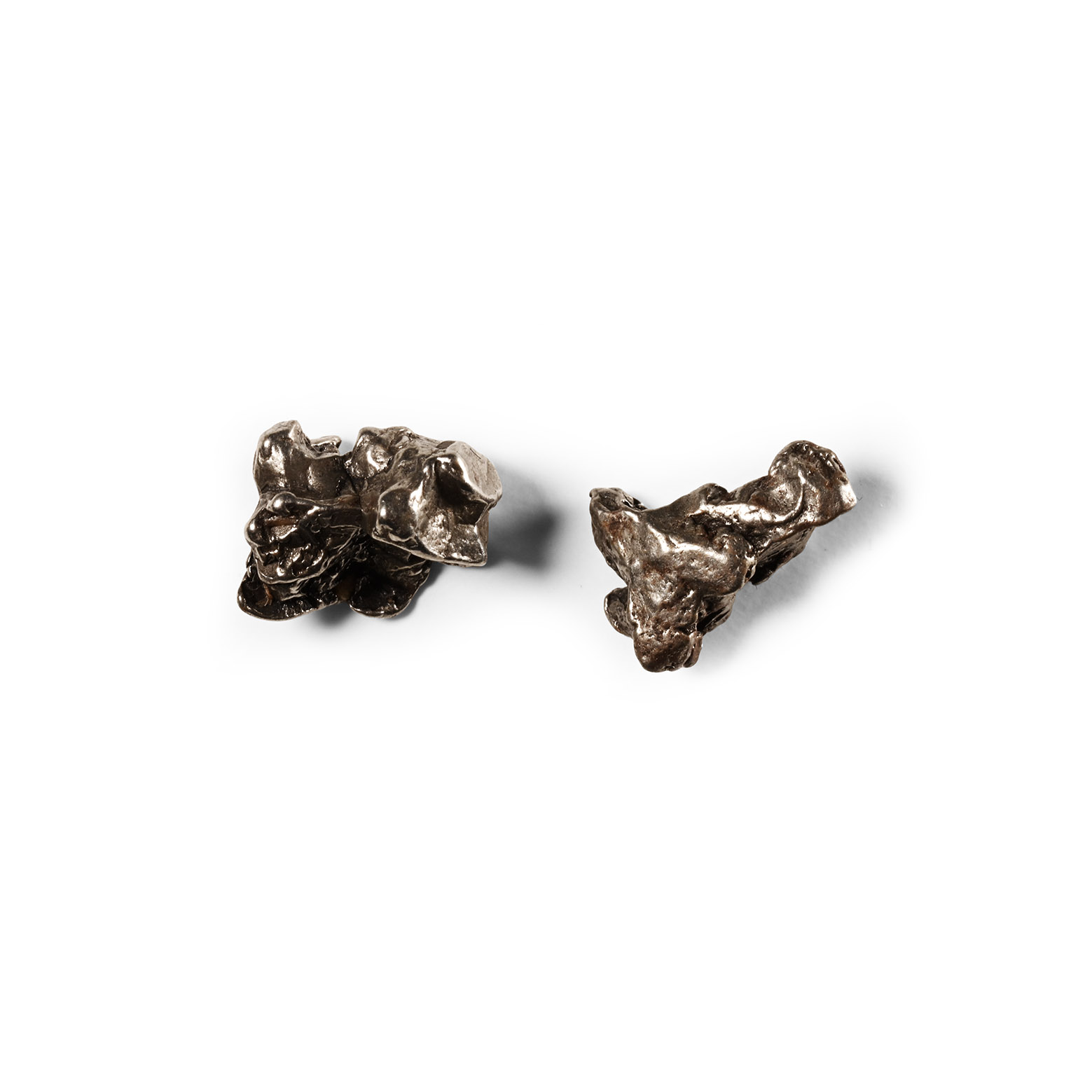 Natural History - Campo Del Cielo Iron Meteorite Pair