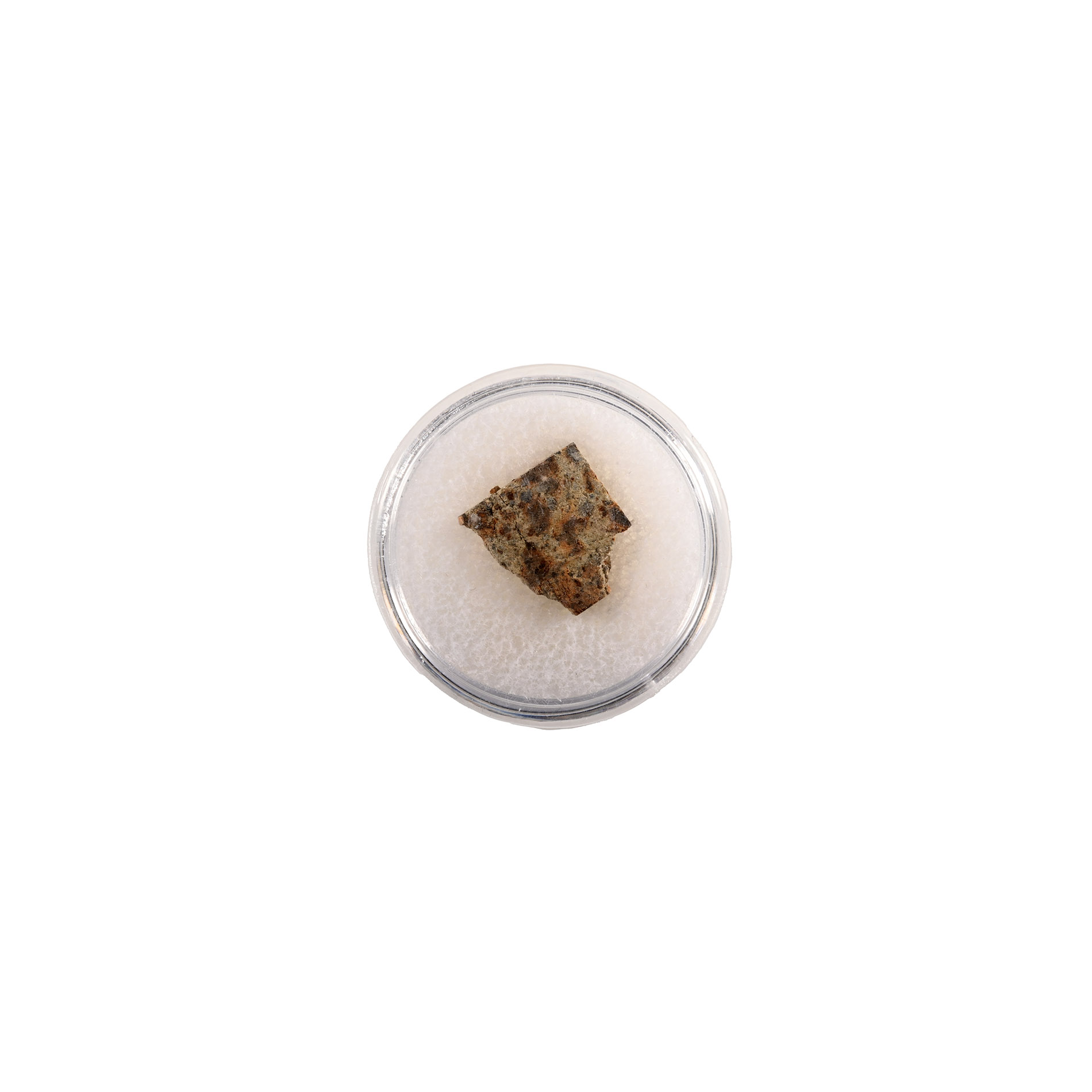 Natural History - NWA 2947 Chondrite Meteorite Slice in Gem Case