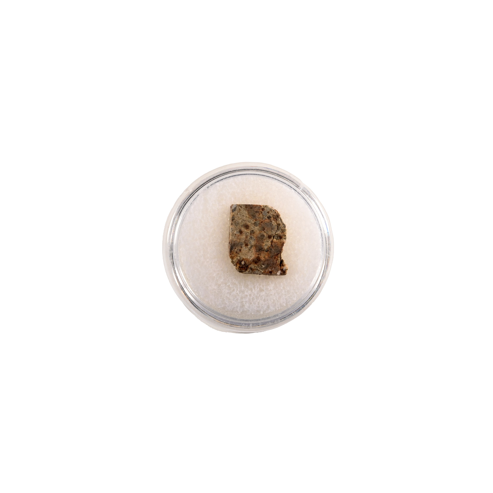 Natural History - NWA 2947 L5 Chondrite Meteorite Slice in Case