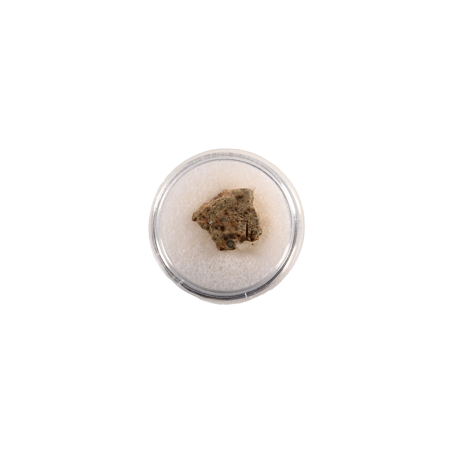 Natural History - NWA 2947 Chondrite Meteorite Slice in Gem Case