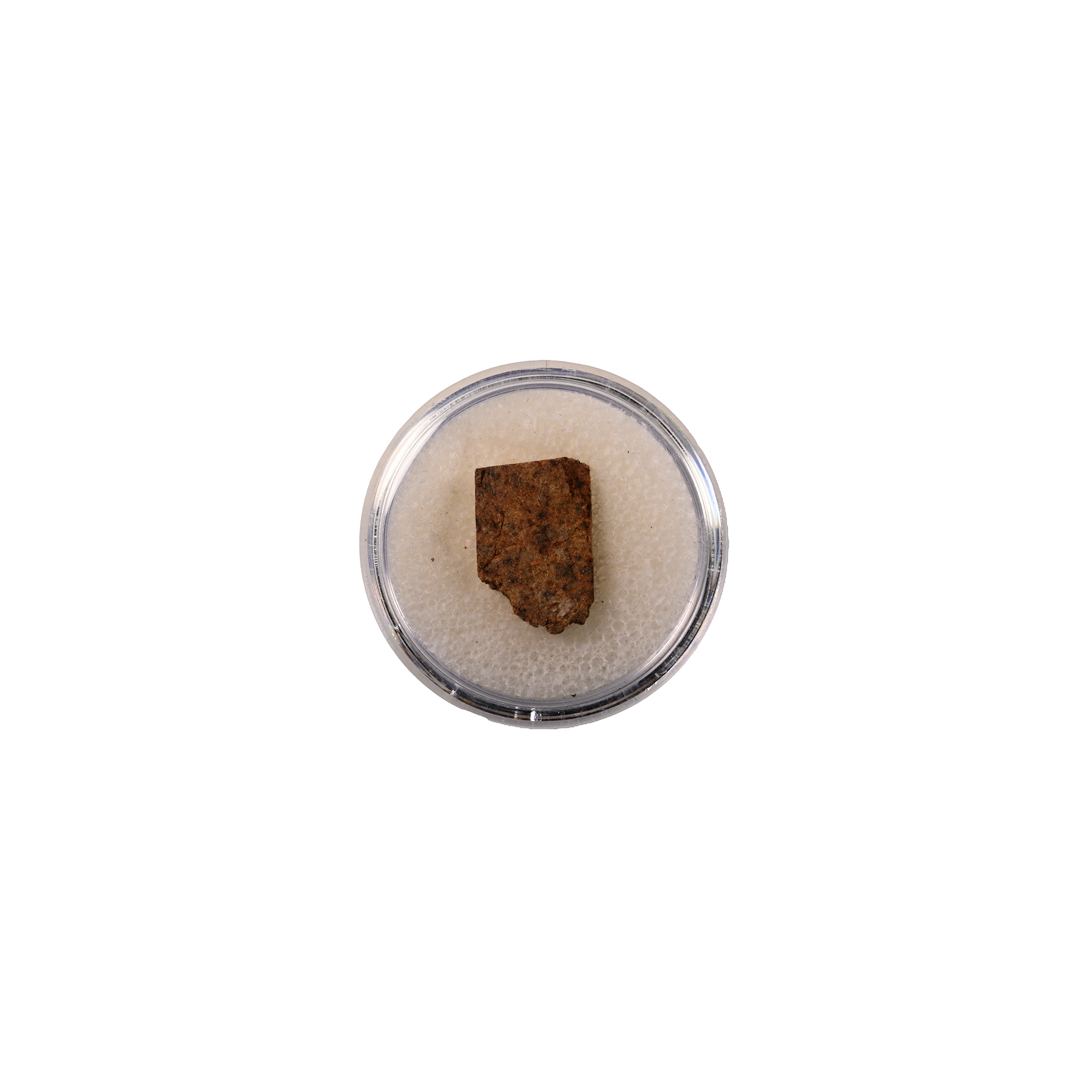 Natural History - NWA 073 L6 Chondrite Meteorite Slice in Gem Case