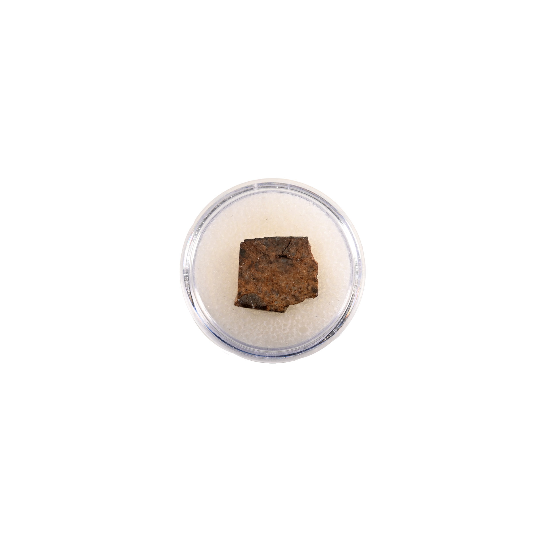 Natural History - NWA 073 L6 Chondrite Meteorite Slice in Case