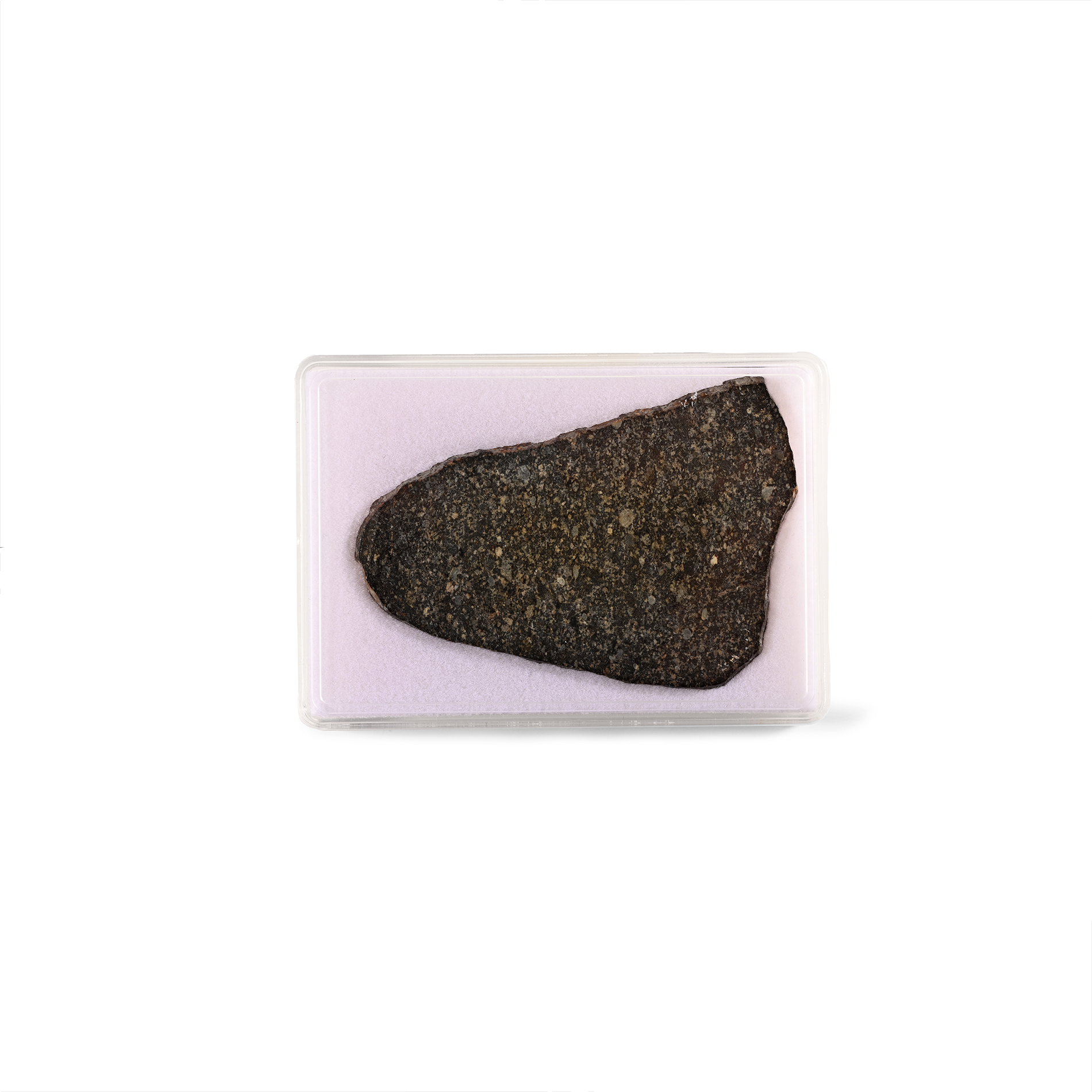 Natural History - Large NWA 15250 L5 Chondrite Meteorite Slice in Case
