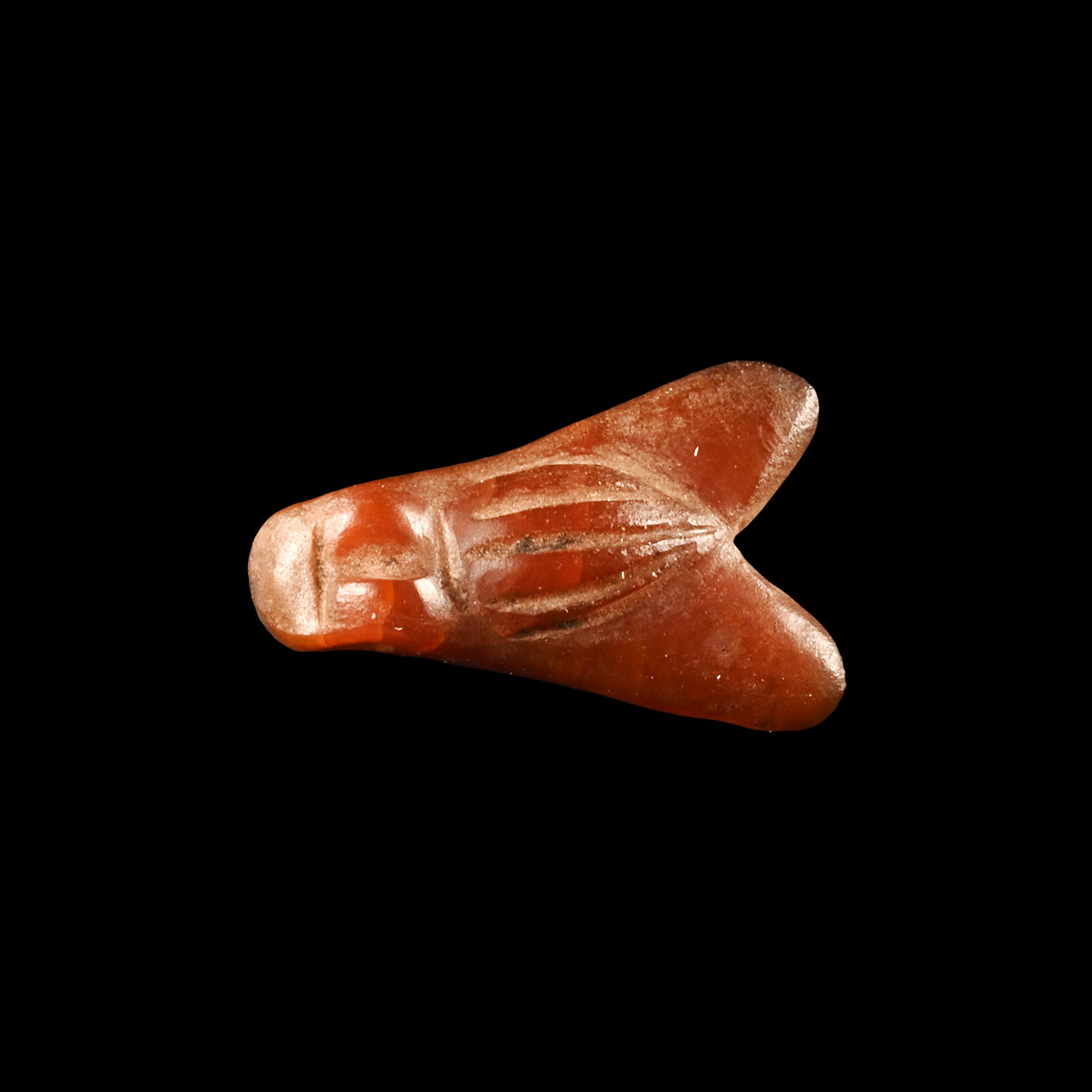 Egyptian Carnelian Fly Amulet