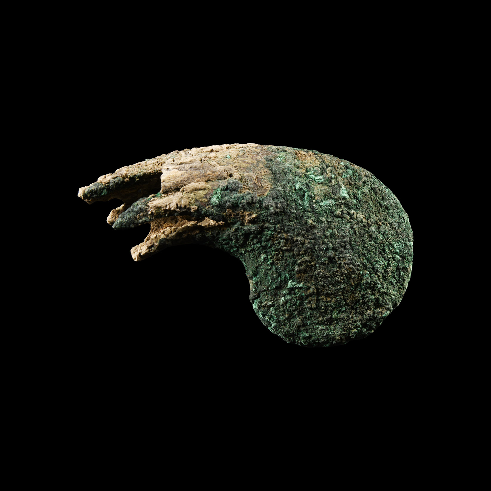 Bactrian Ceremonial Claw Macehead