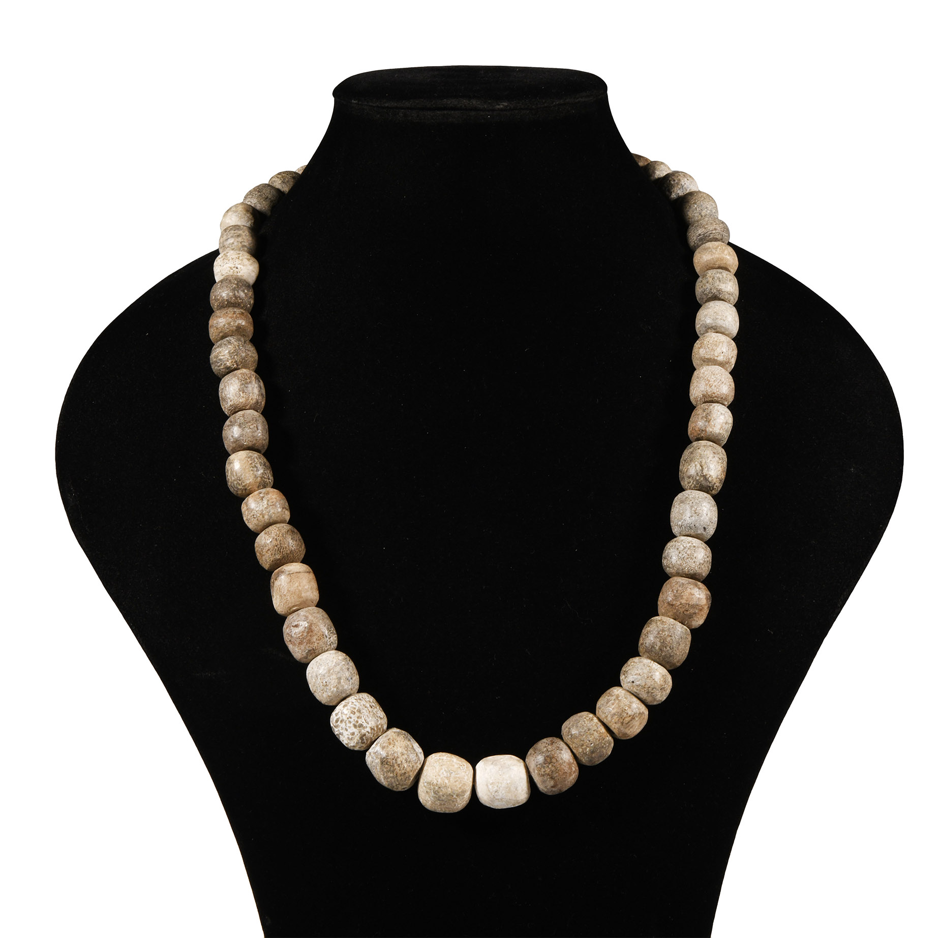 Natural History - Woolly Mammoth Bone Bead Necklace String