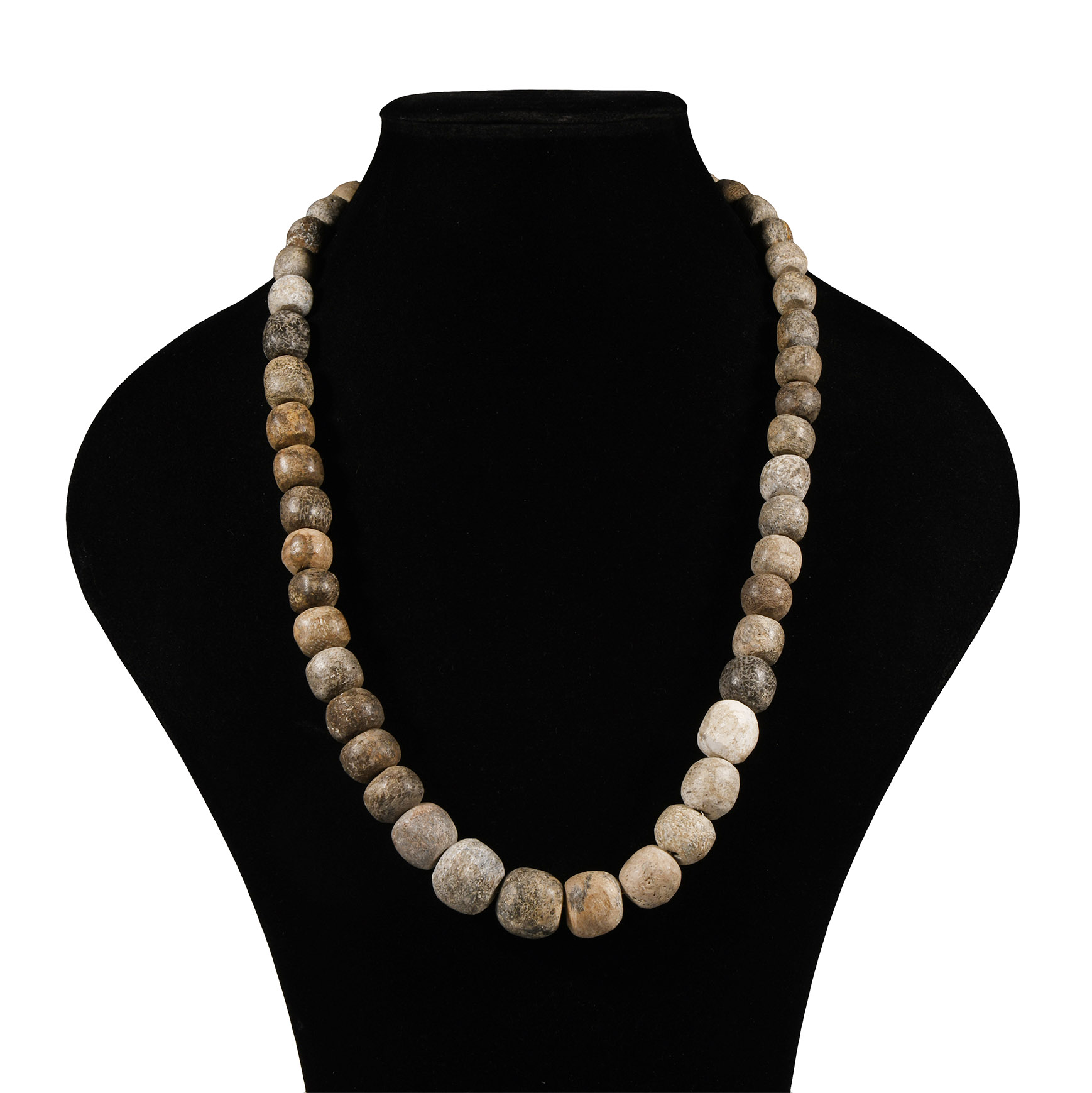 Natural History - Woolly Mammoth Bone Bead Necklace String