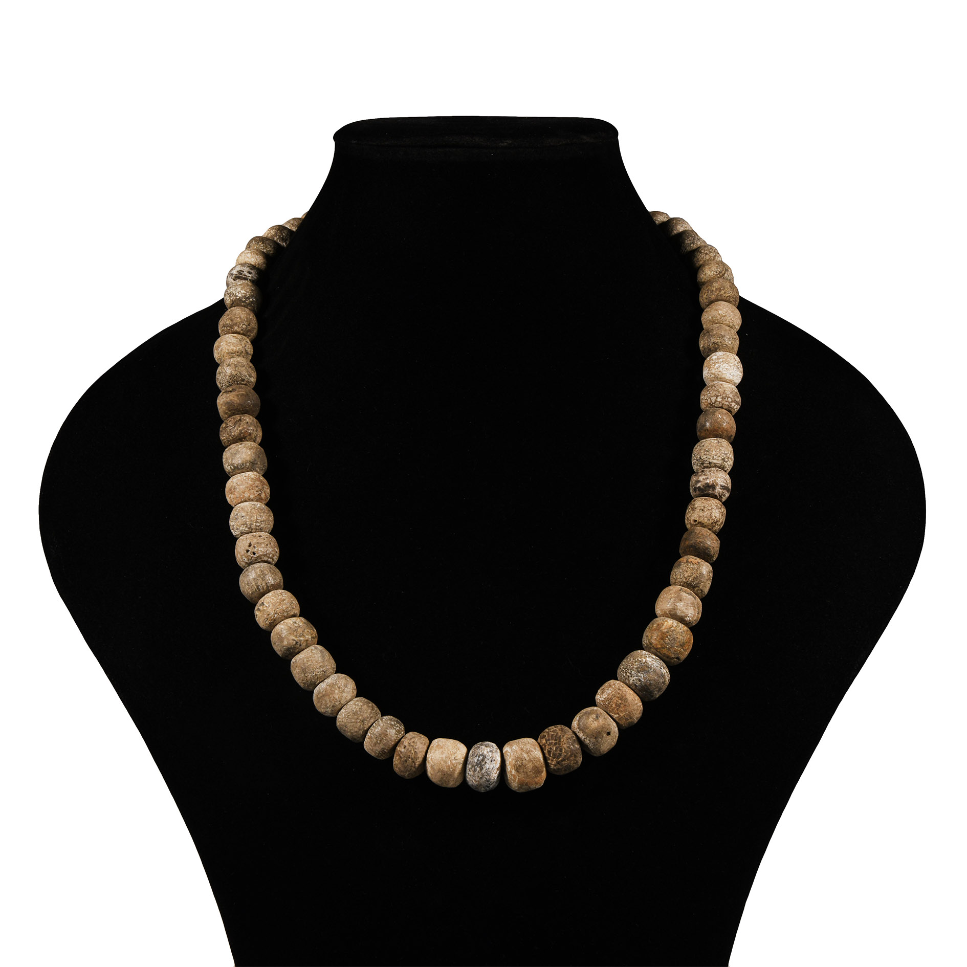 Natural History - Woolly Mammoth Bone Bead Necklace String
