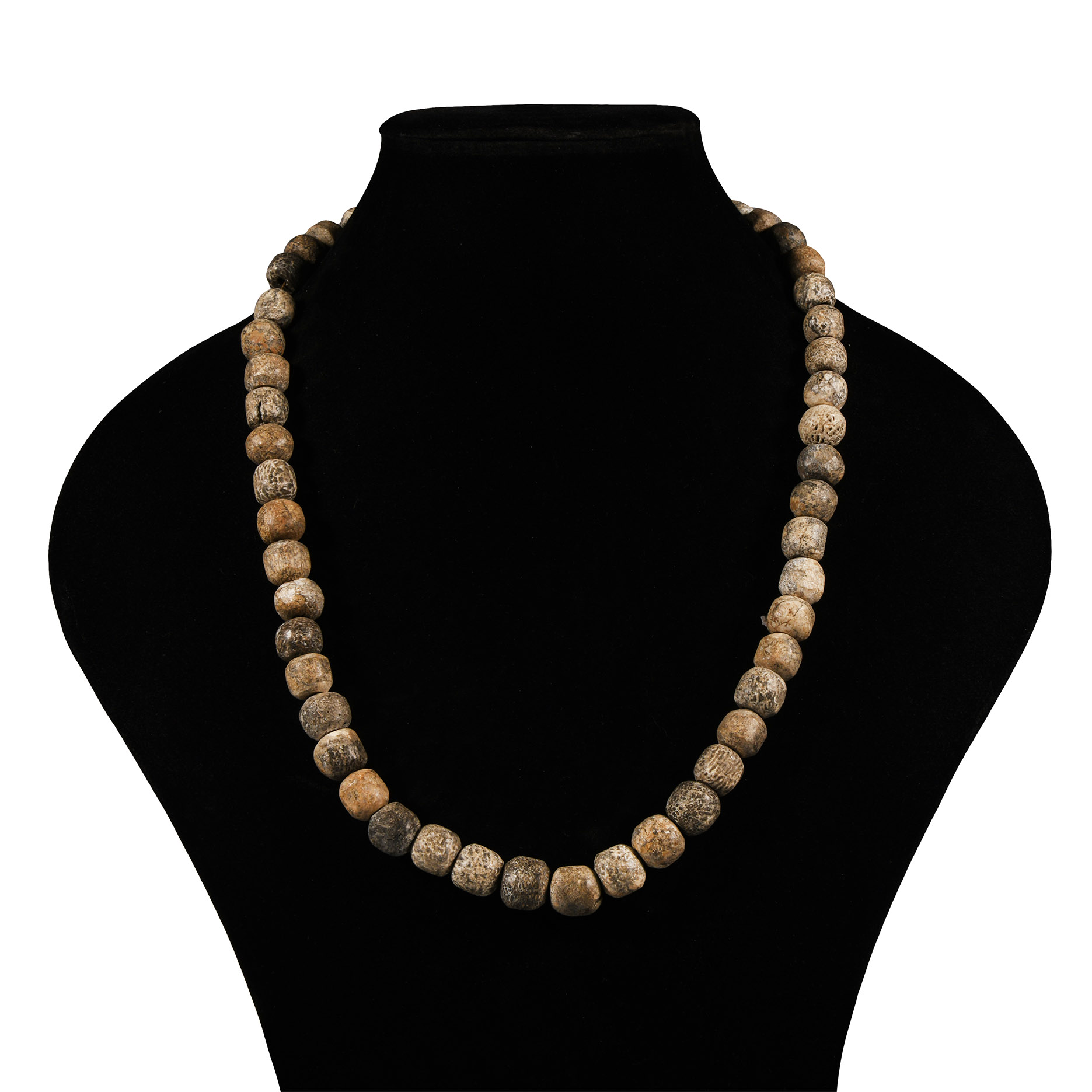 Natural History - Woolly Mammoth Bone Bead Necklace String