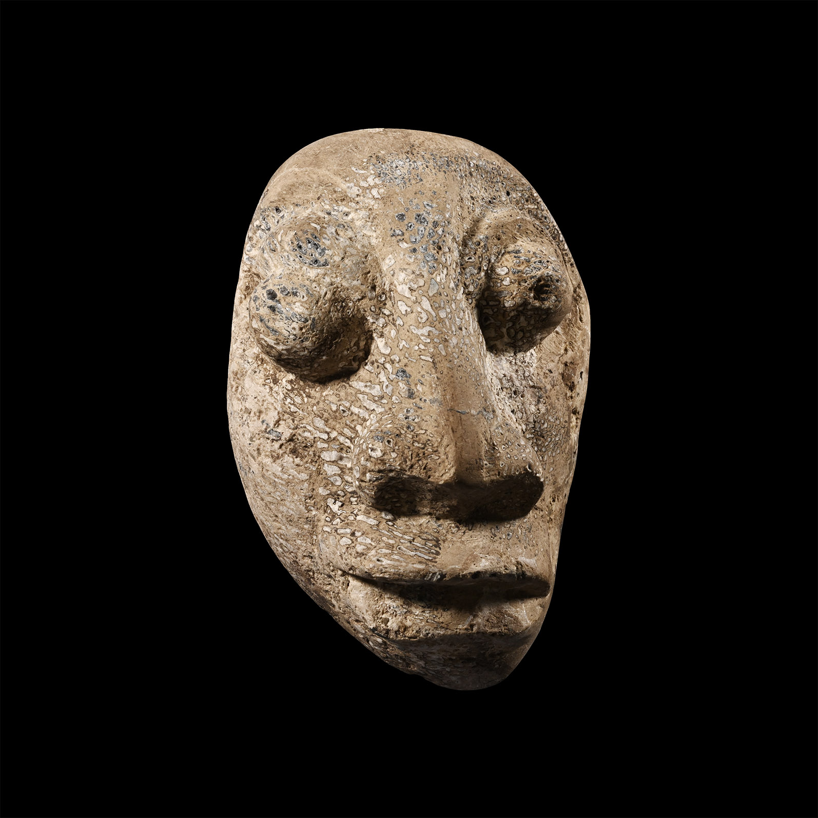 Natural History - Mastodon Bone Face Carving