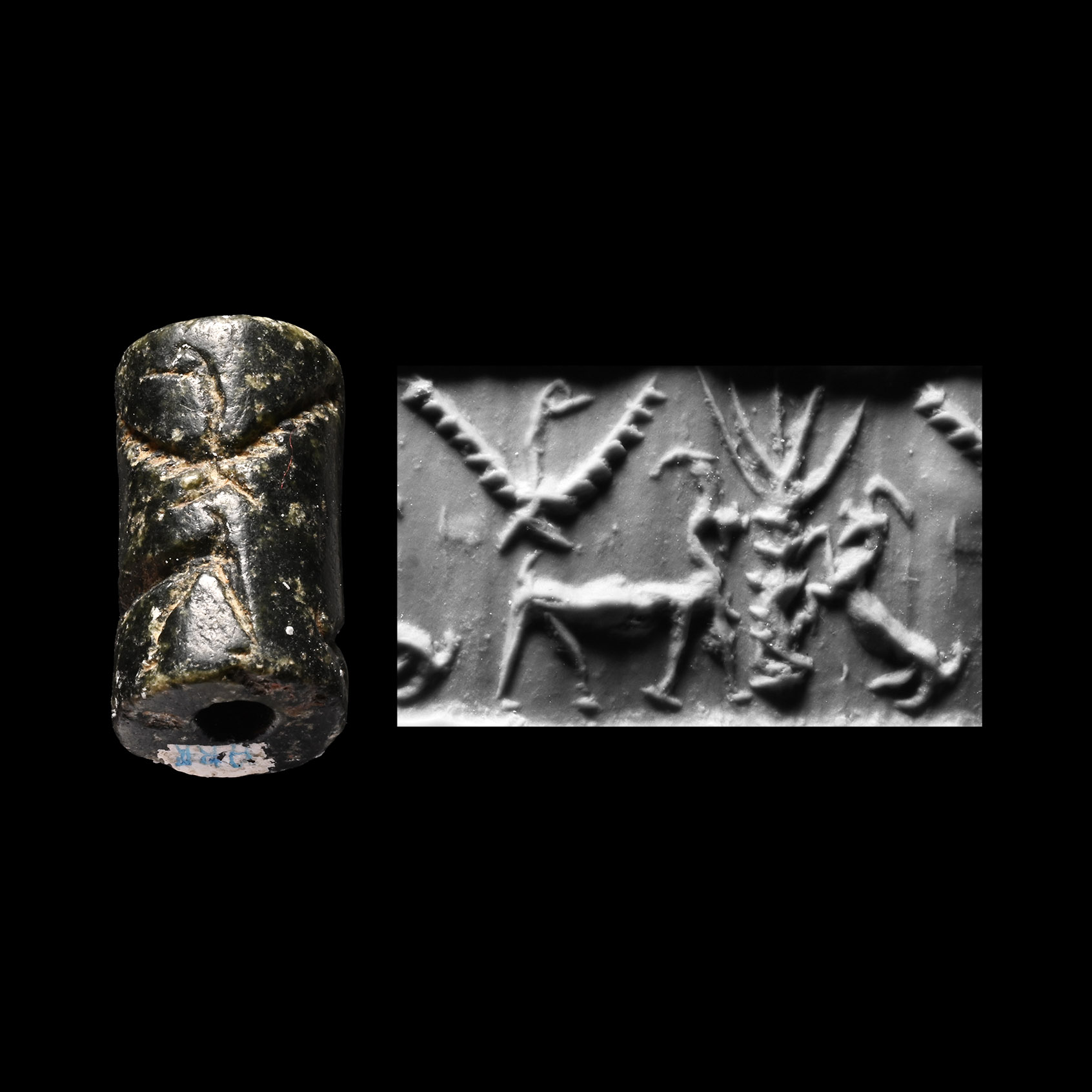 Western Asiatic Steatite Cylinder Seal with Animals