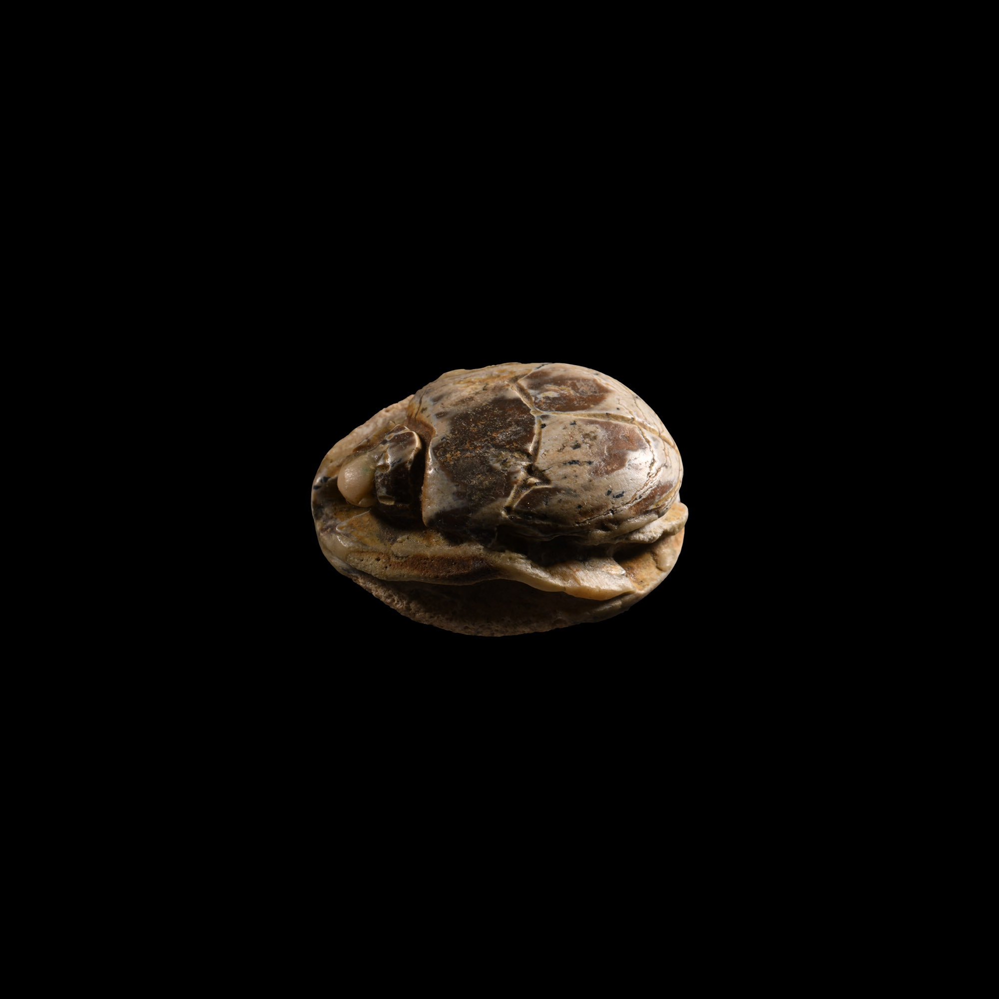 Egyptian Steatite Scarab with Hieroglyphs