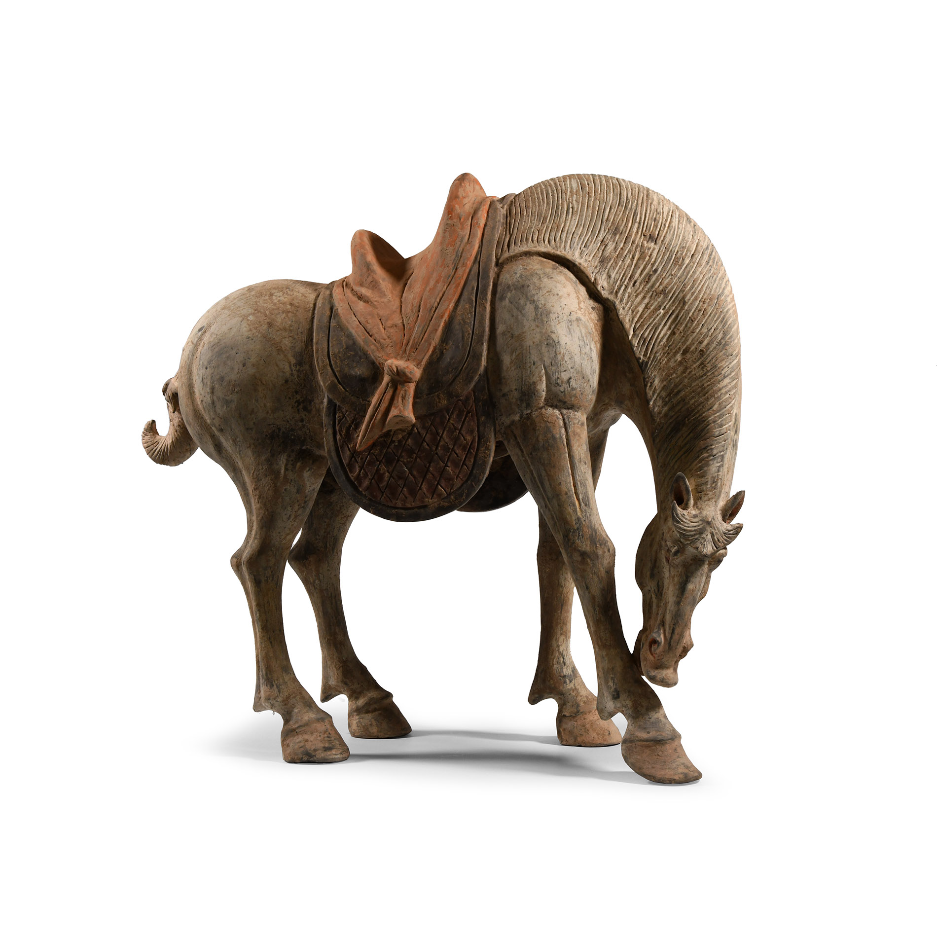Chinese Tang Terracotta Horse Standing with Head Down