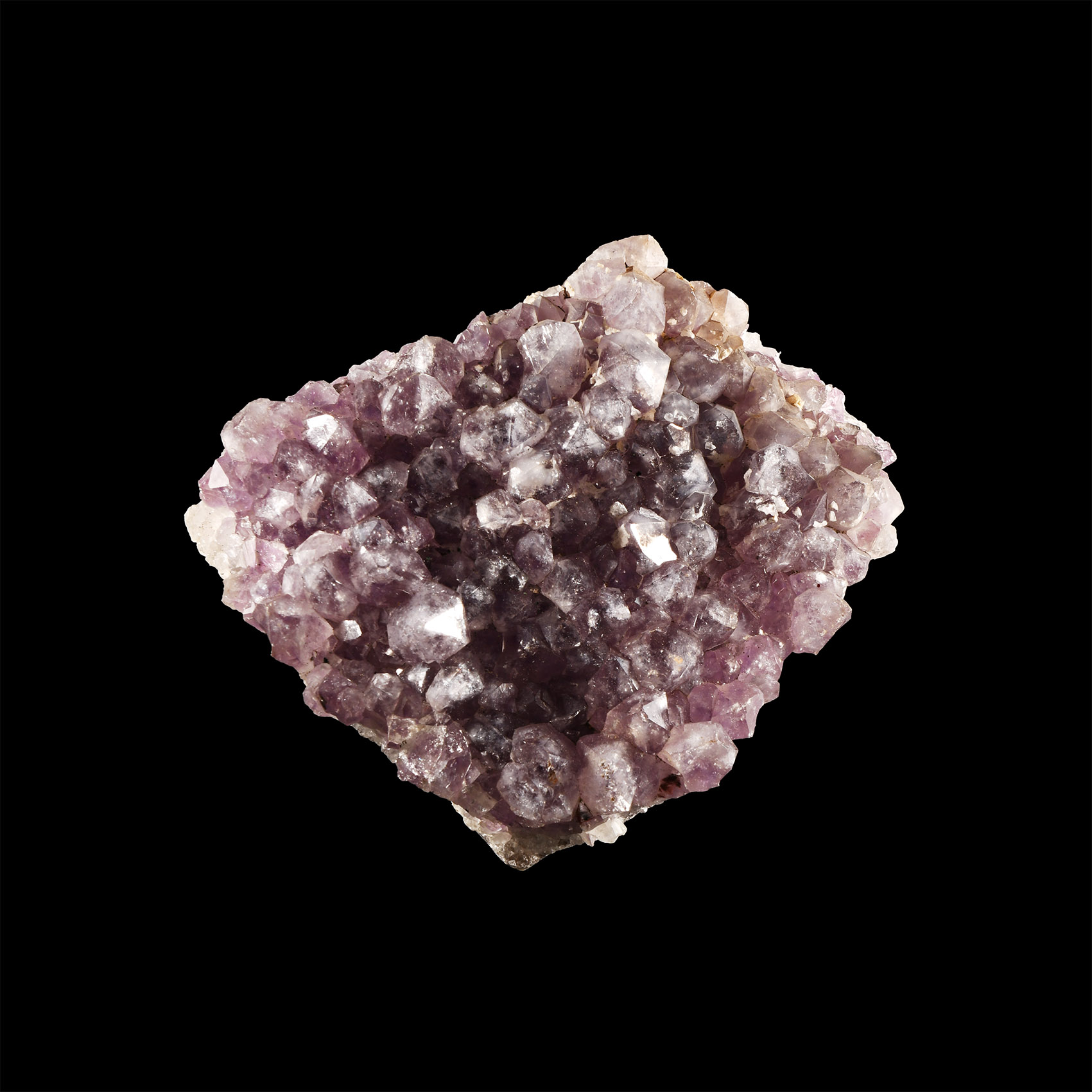 Natural History - Amethyst Crystal Geode Section