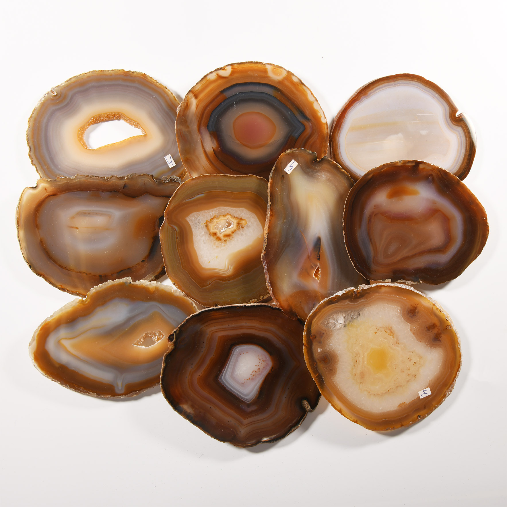 Natural History - Polished Agate Crystal Slice Group [10]