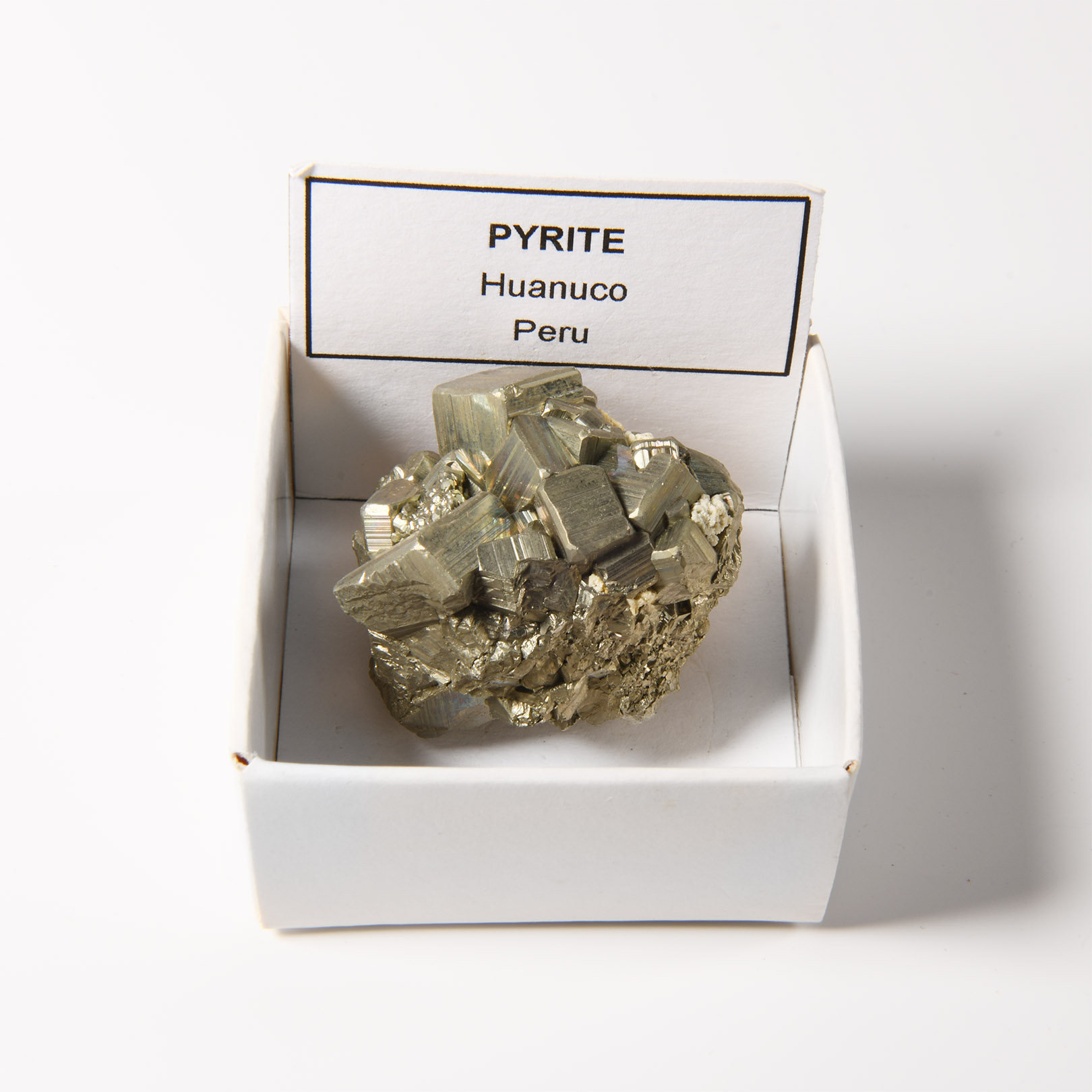Natural History - Boxed Pyrite 'Fool's Gold' Crystal Specimen