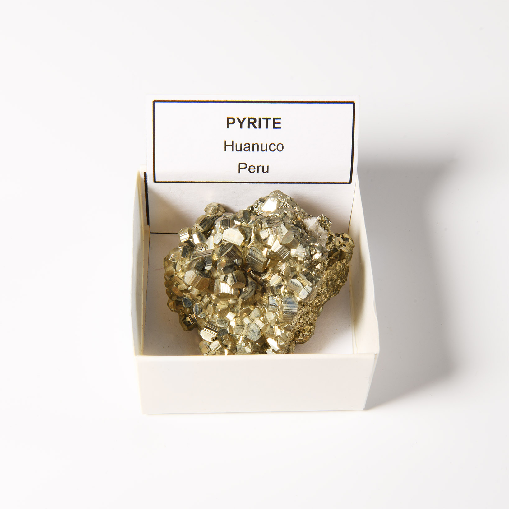 Natural History - Boxed Pyrite 'Fool's Gold' Crystal Specimen