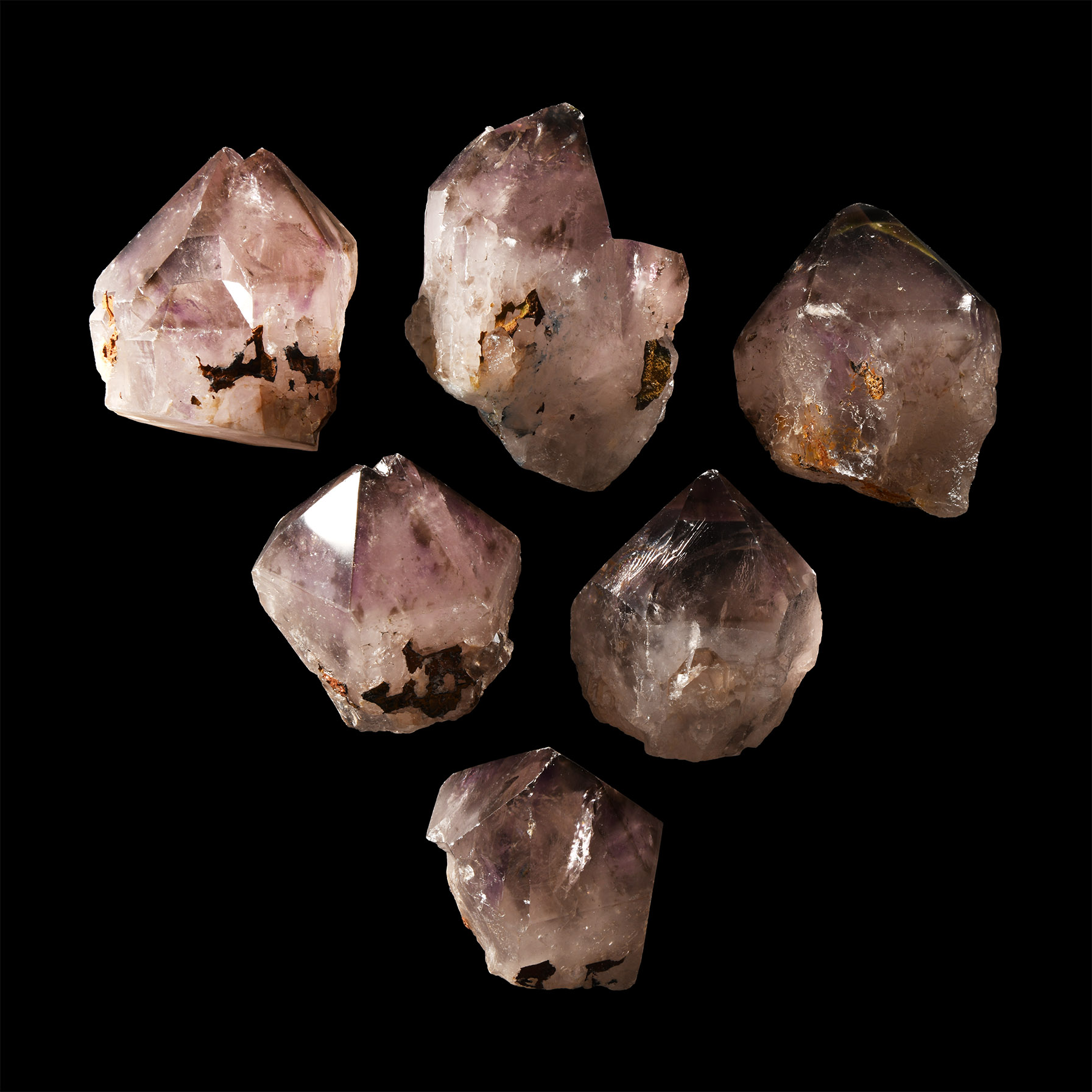 Natural History - Very Large Amethyst Crystal Point Group [6]