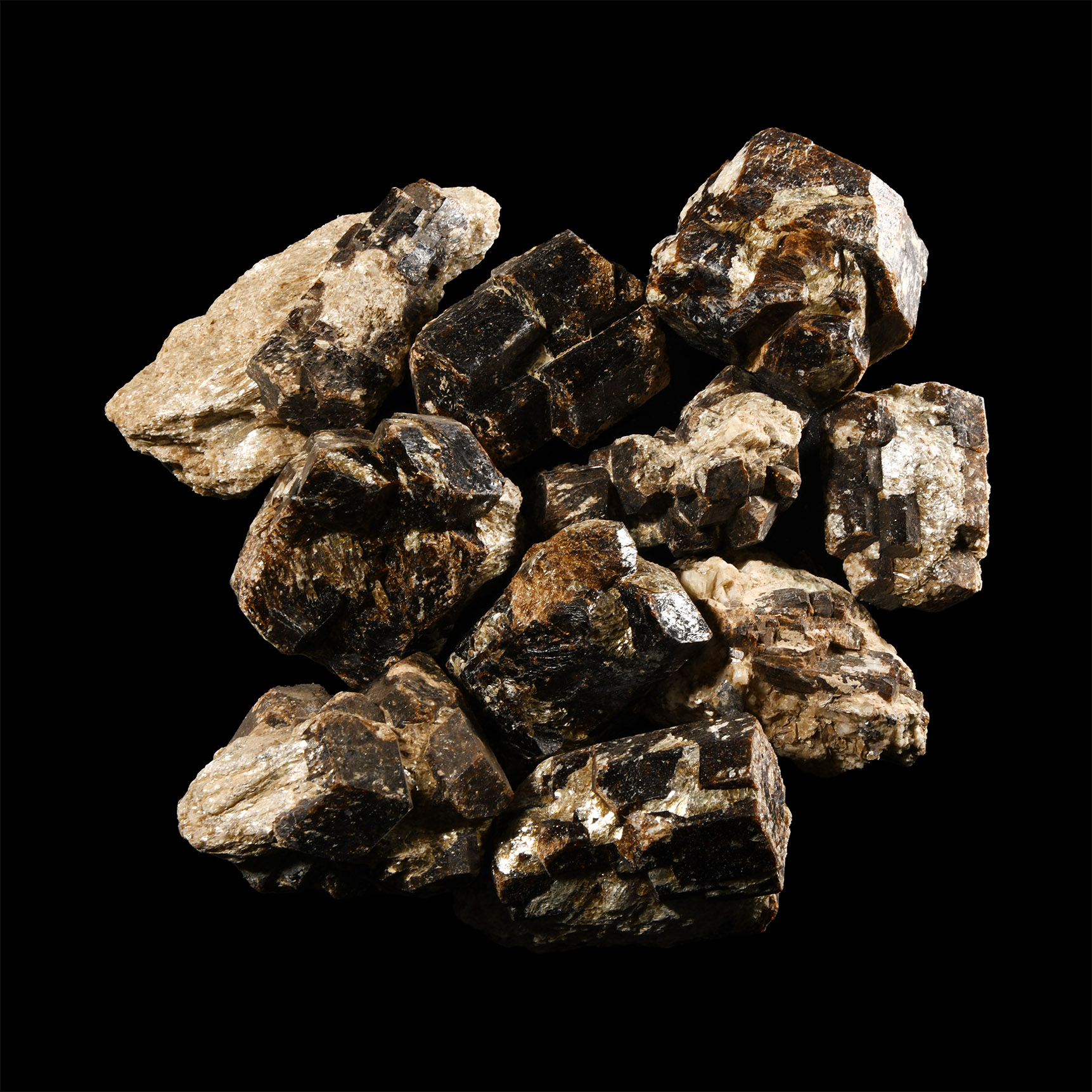 Natural History - Large Dravite Tourmaline Crystal Specimen Group [10]