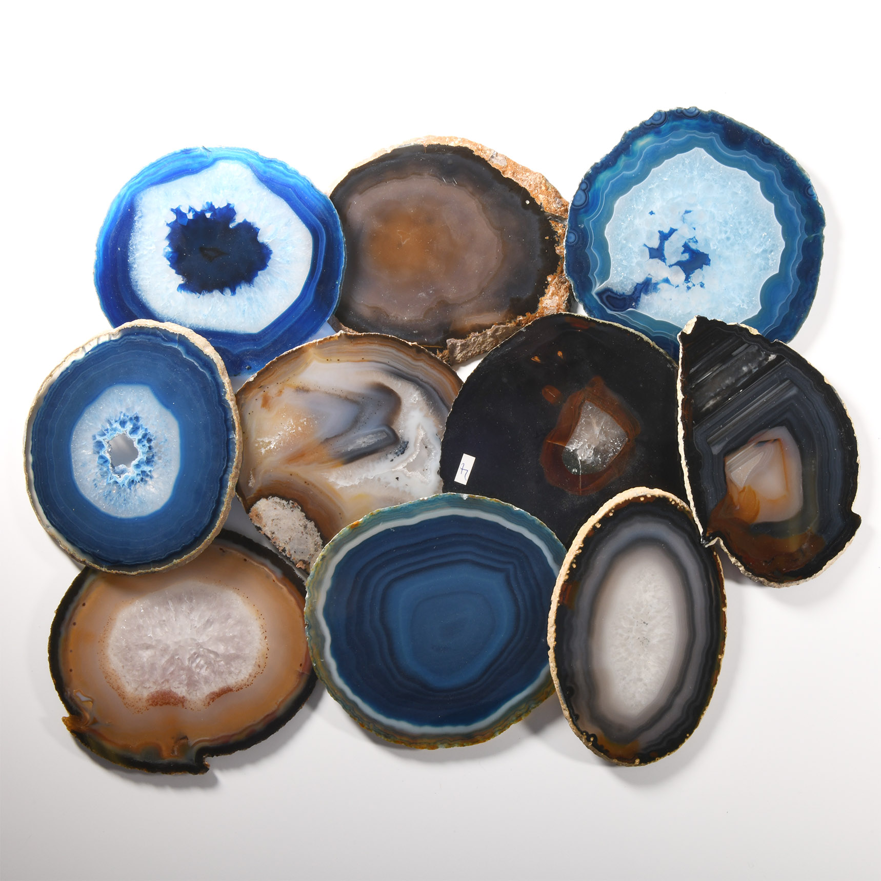 Natural History - Mixed Cut and Polished Agate Slice Collection [10]