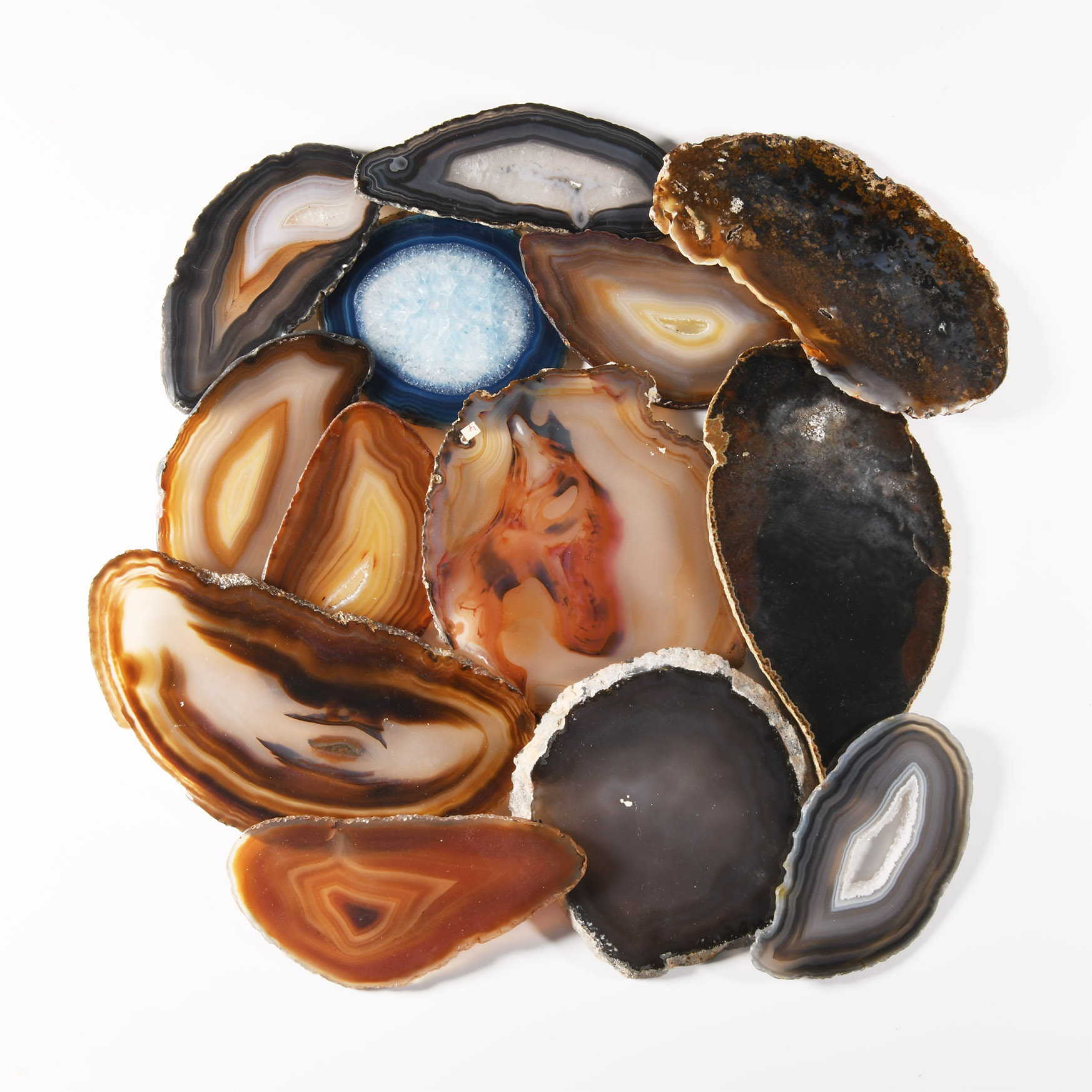 Natural History - Mixed Cut and Polished Agate Slice Collection [13]