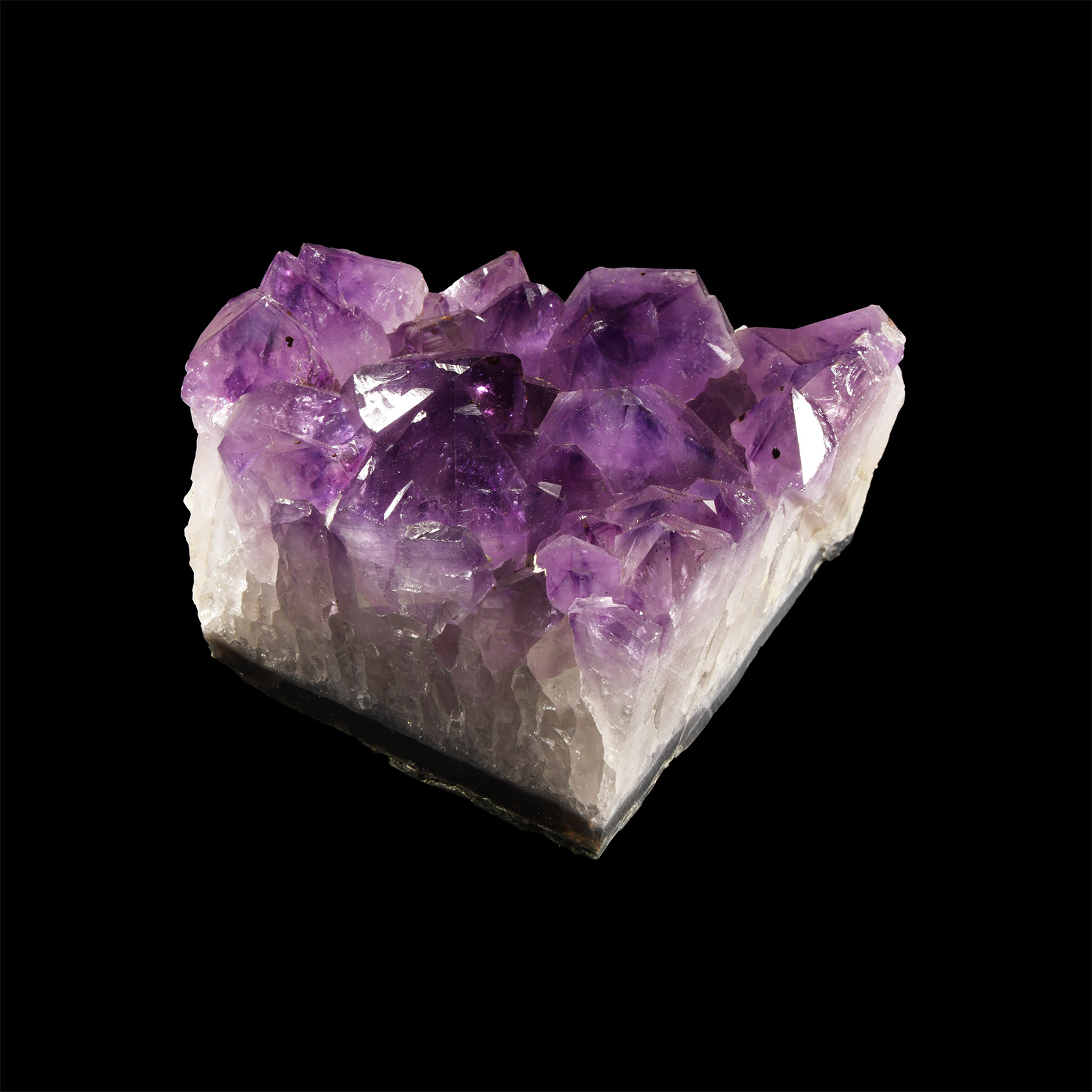 Natural History - Amethyst Crystal Geode Section