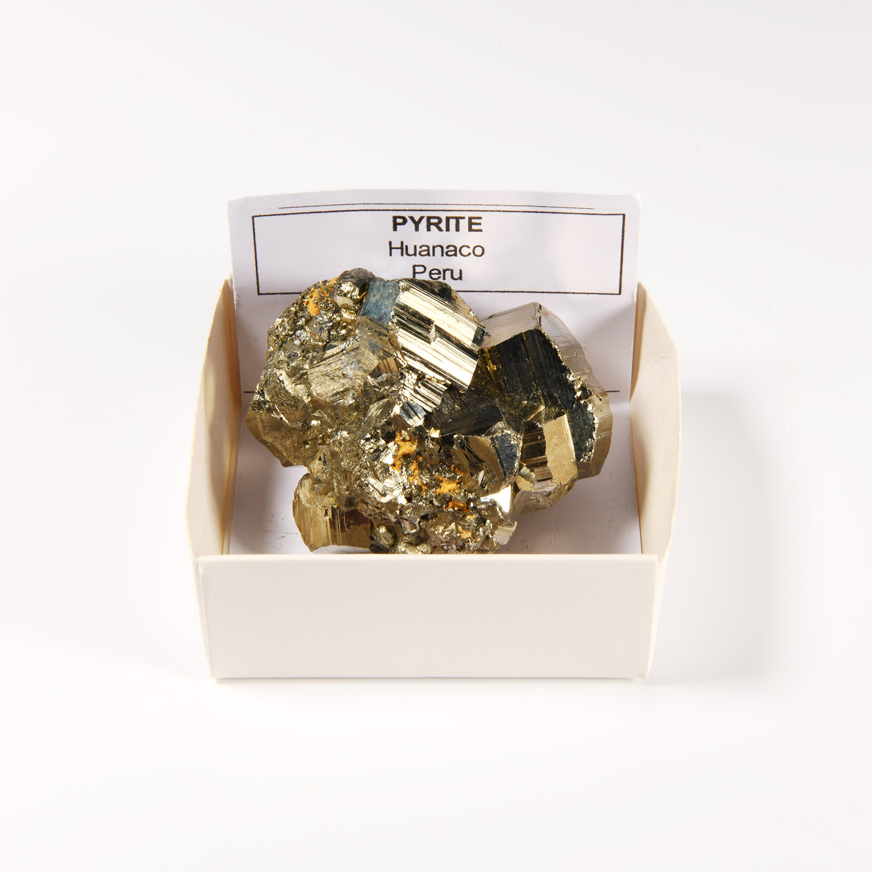 Natural History - Boxed Pyrite Crystal 'Paper Weight'