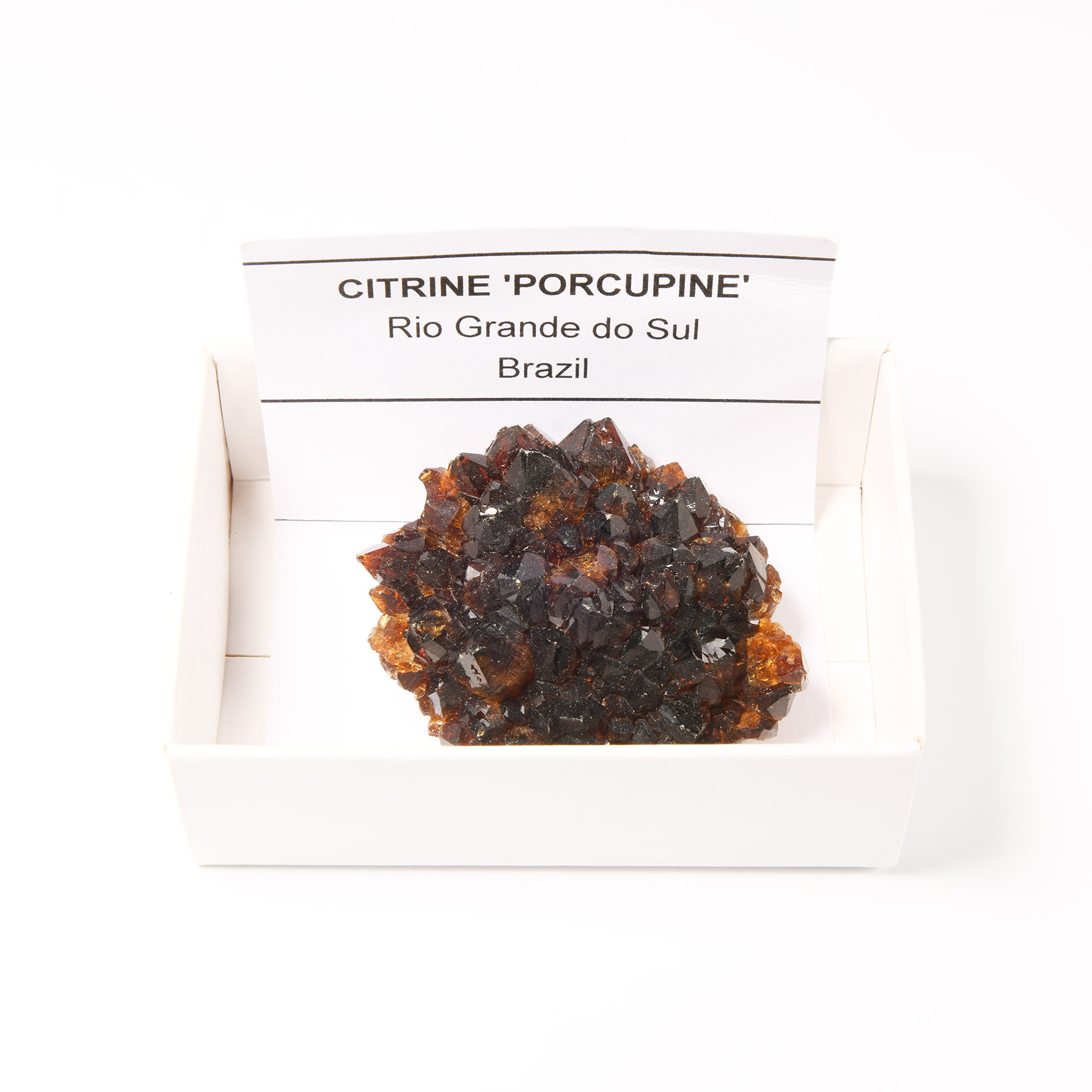 Natural History - Boxed Citrine 'Porcupine' Crystal Specimen