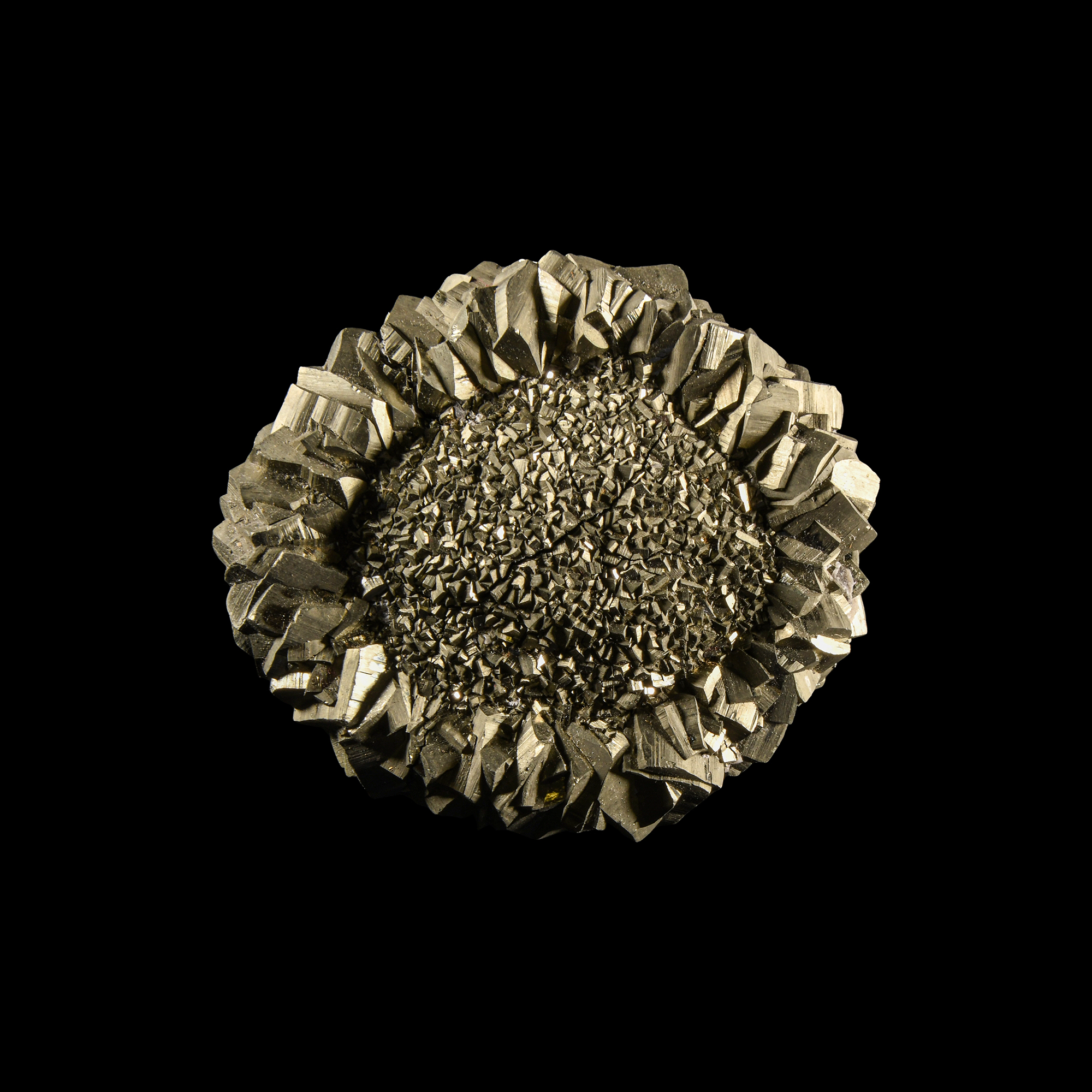 Natural History - Boxed Pyrite Pancake Crystal 'Paper Weight'