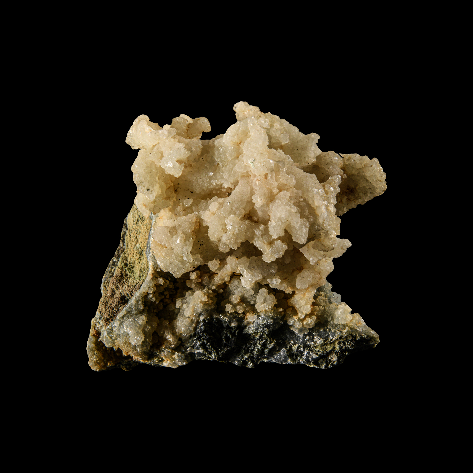 Natural History - Boxed Historic 'Coral' Calcite Specimen