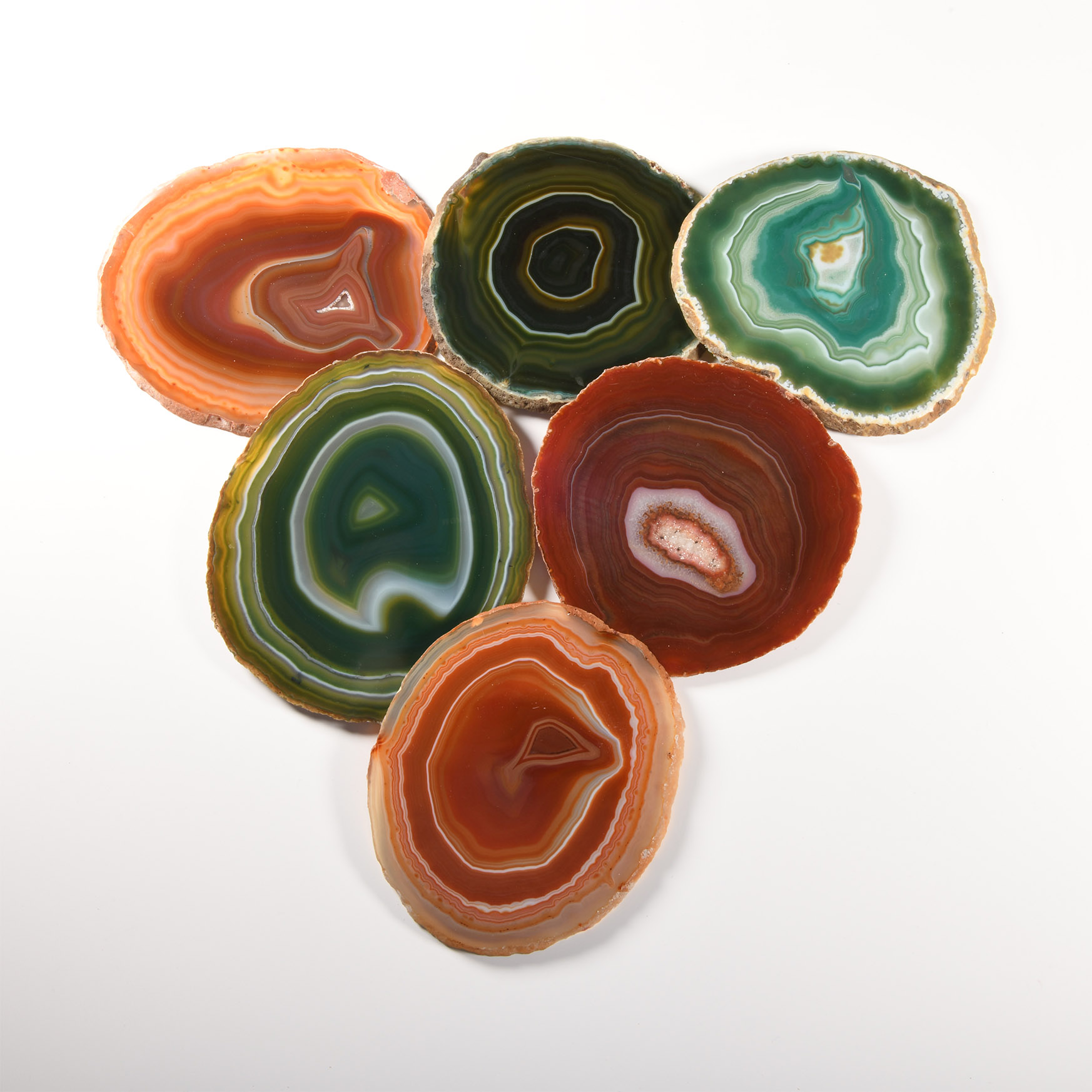 Natural History - Green and Orange Cut and Polished Agate Geode Slice Collection [6]