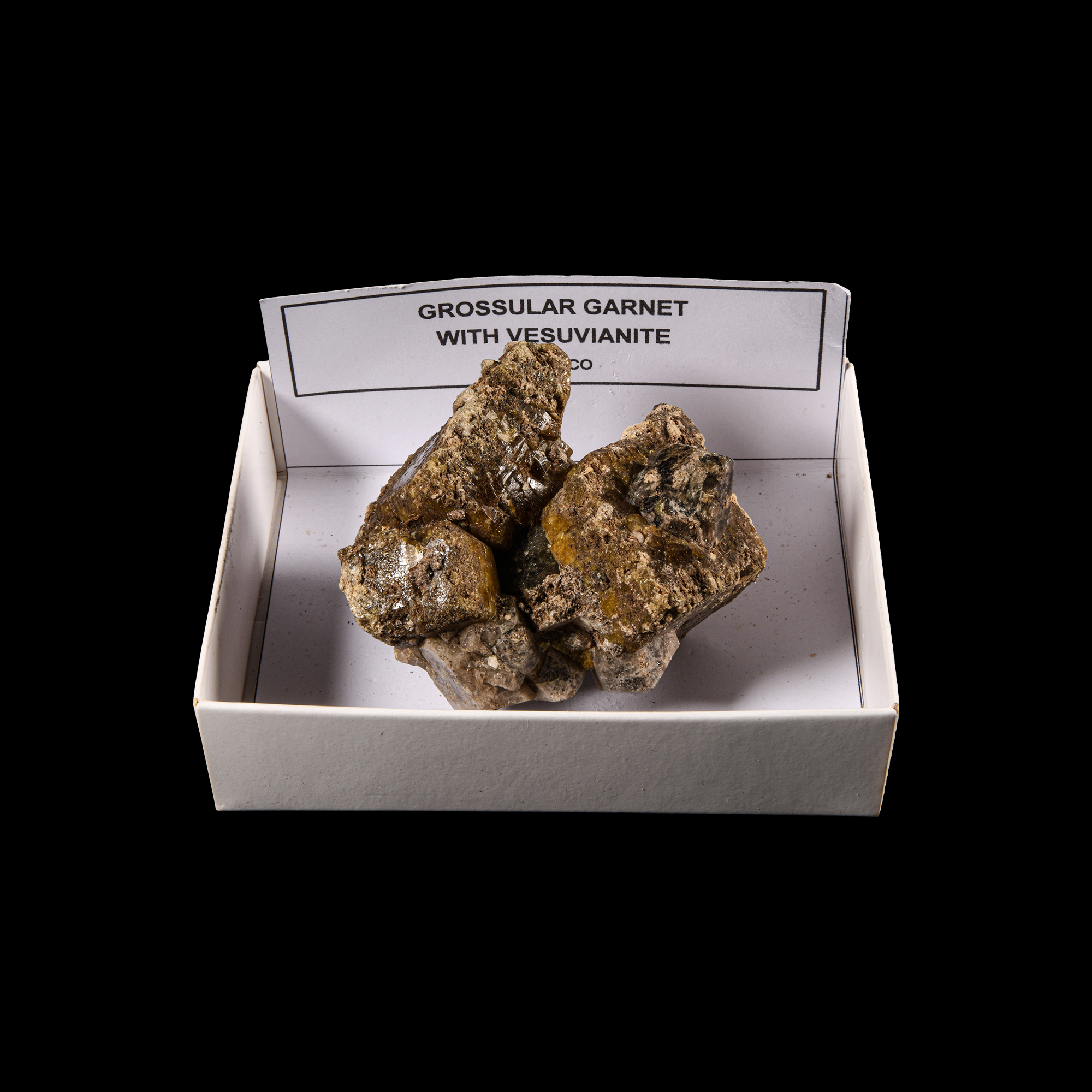 Natural History - Large Size Grossular Garnet Crystal with Vesuvianite