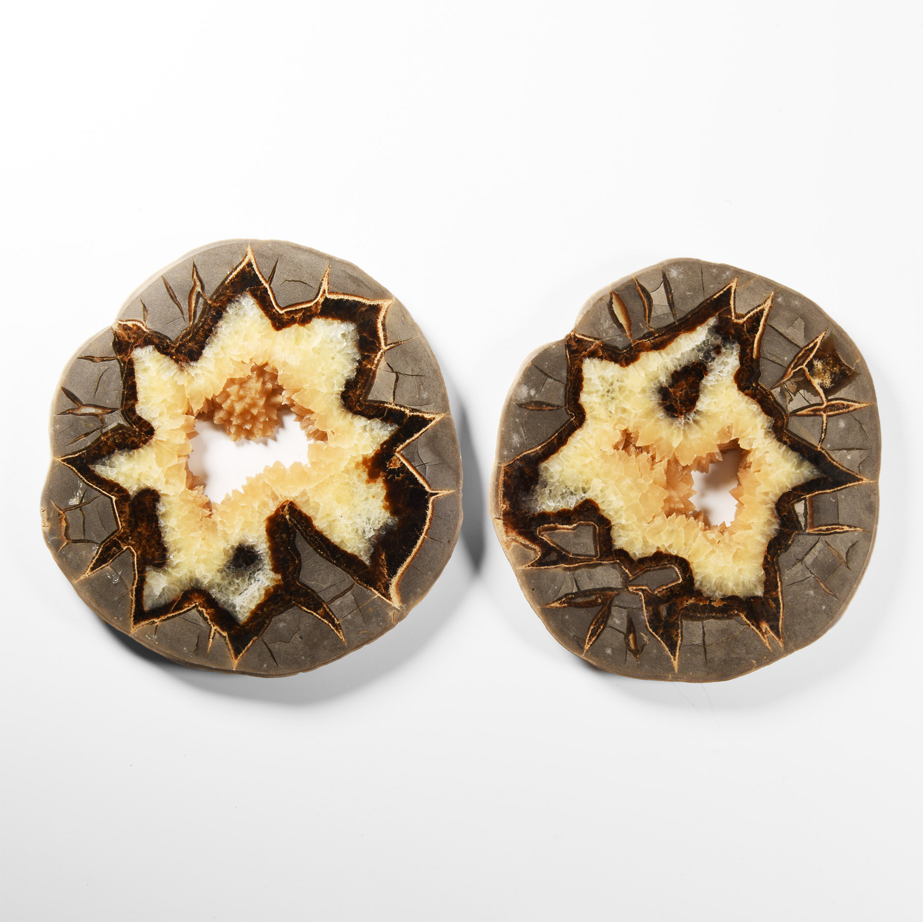 Natural History - Large Size Cut Septarian Agate Crystal 'Alien Egg' Geode Slice Pair