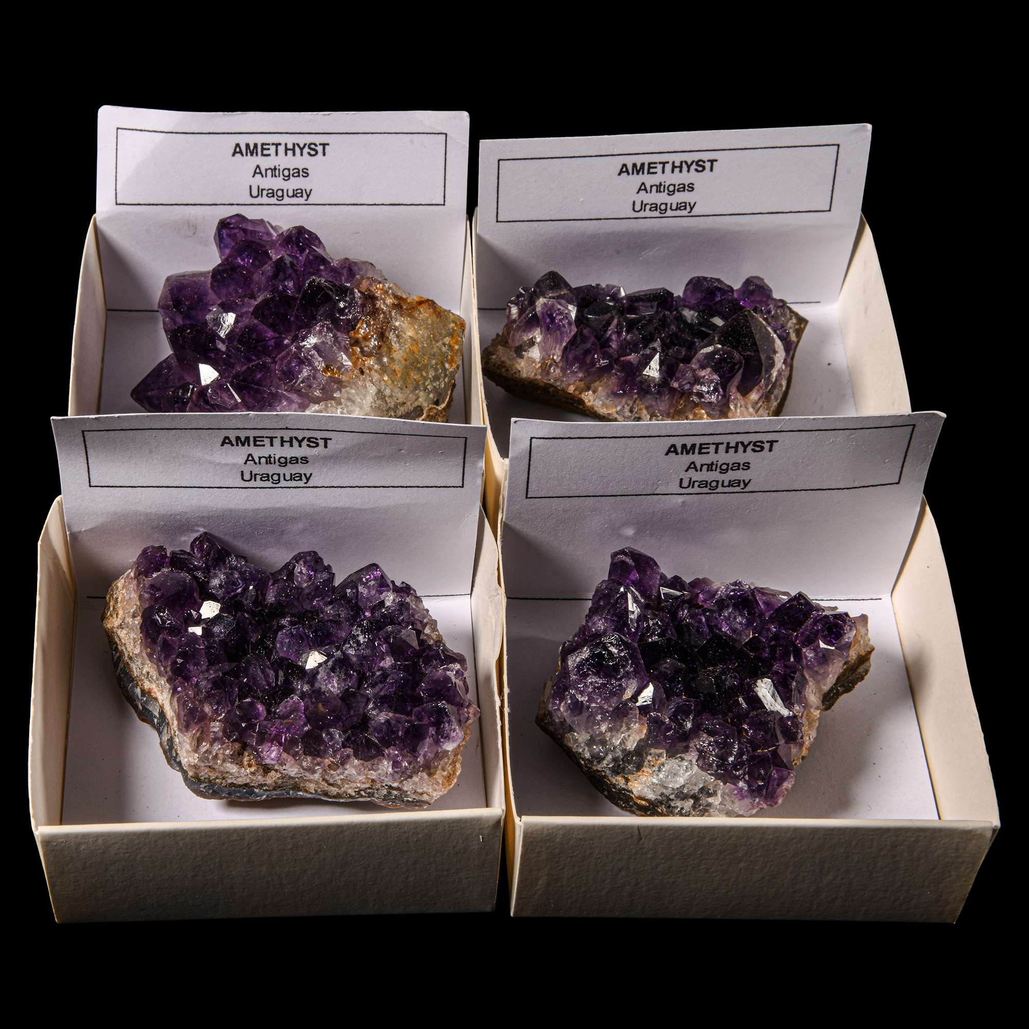 Natural History - Boxed Amethyst Crystal Display Specimen Group [4]