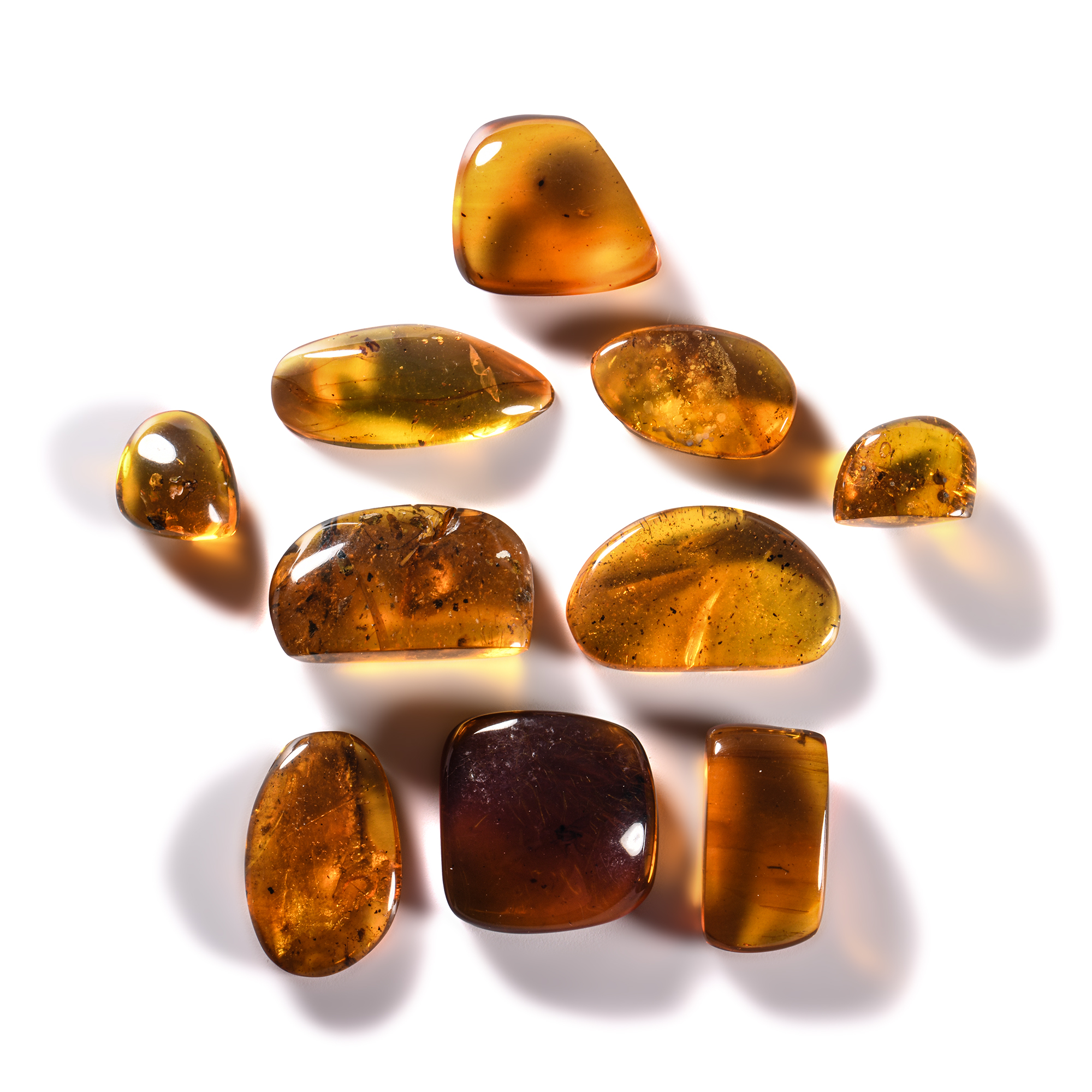 Amber Group with Insect Inclusions