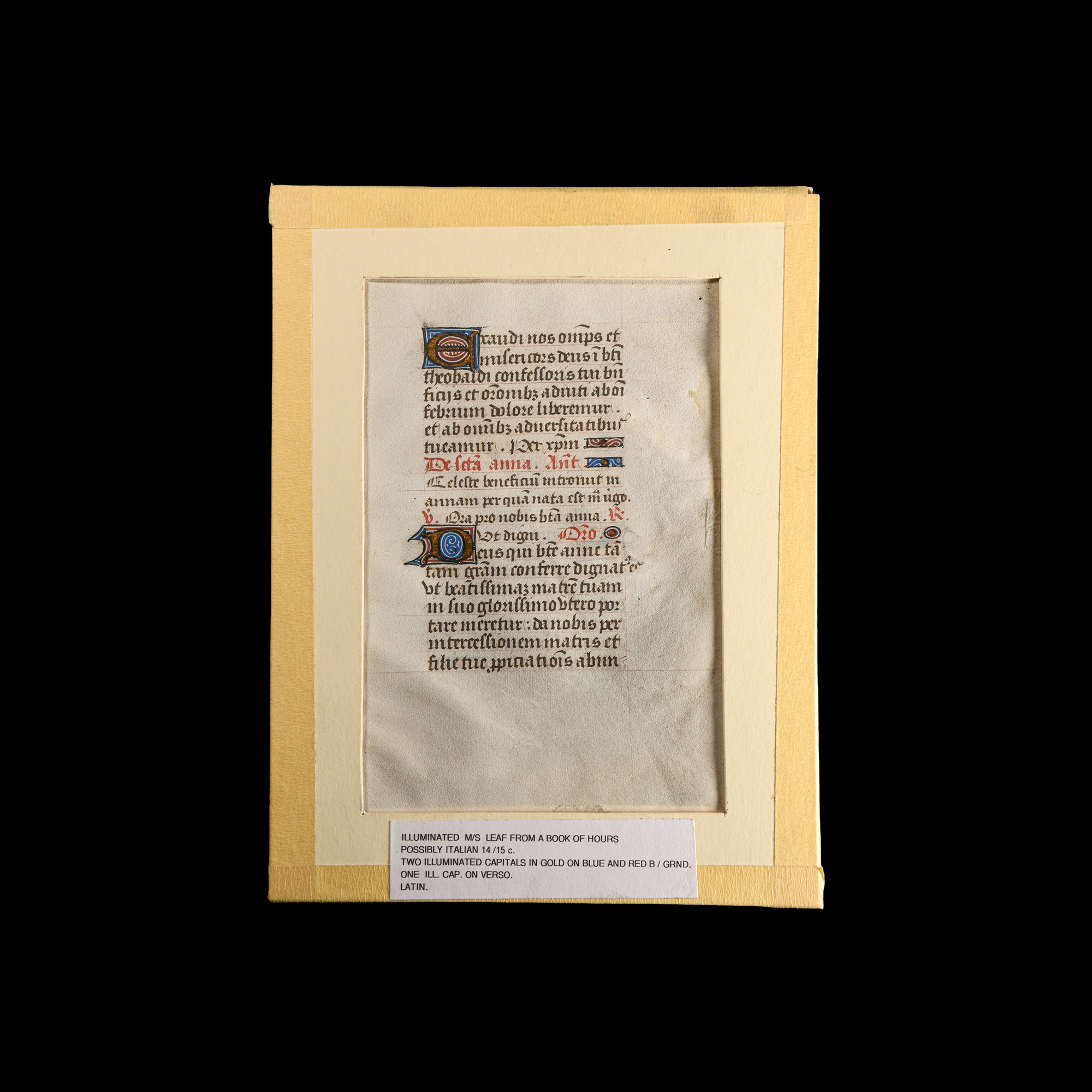 Medieval Illuminated Book of Hours Vellum Manuscript Page