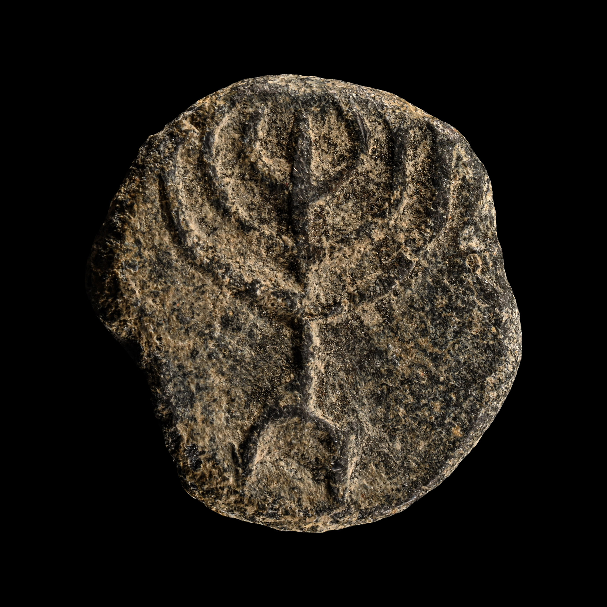 Jewish Lead Sealing with Menorah