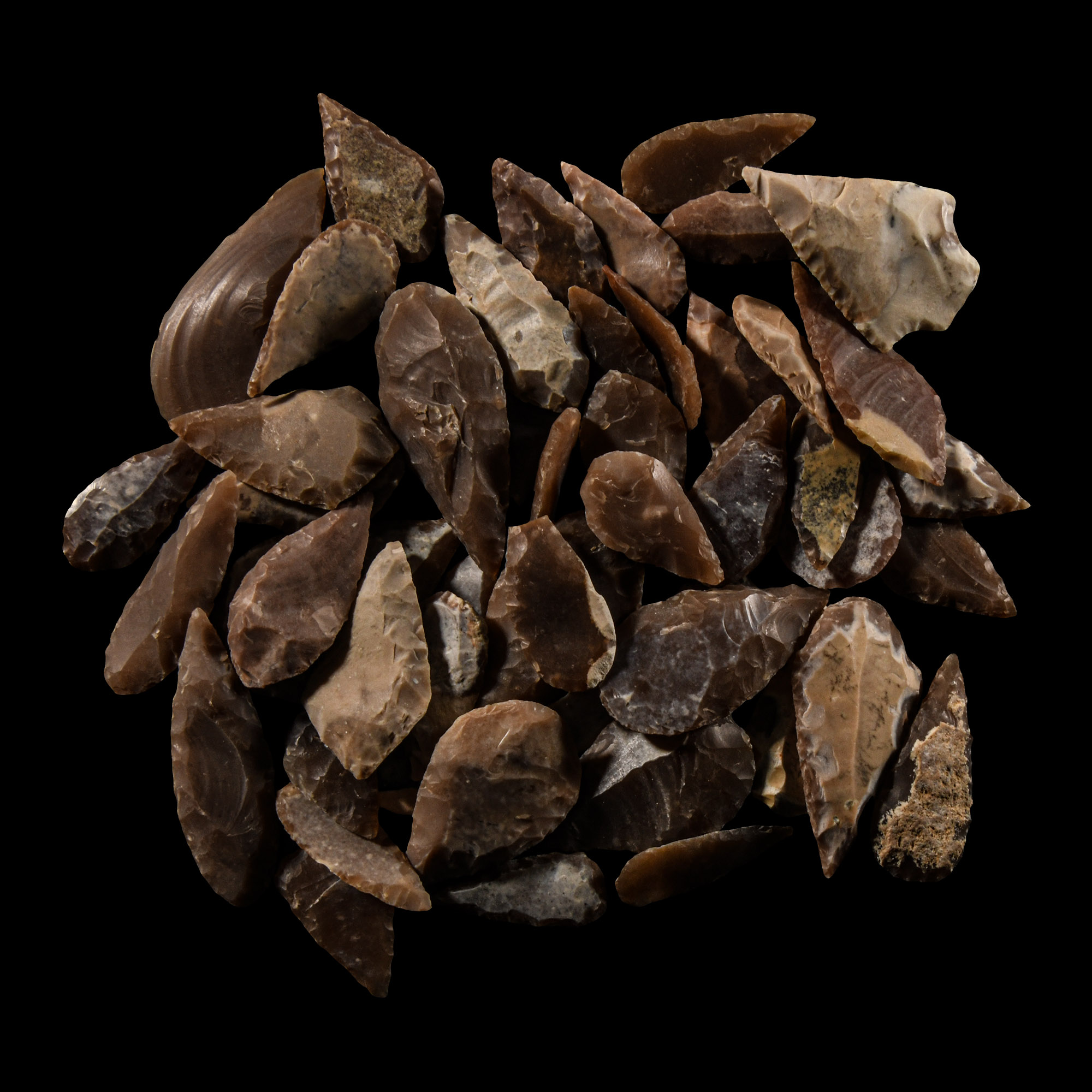 Stone Age Flint Leaf-Shaped Arrowhead Group