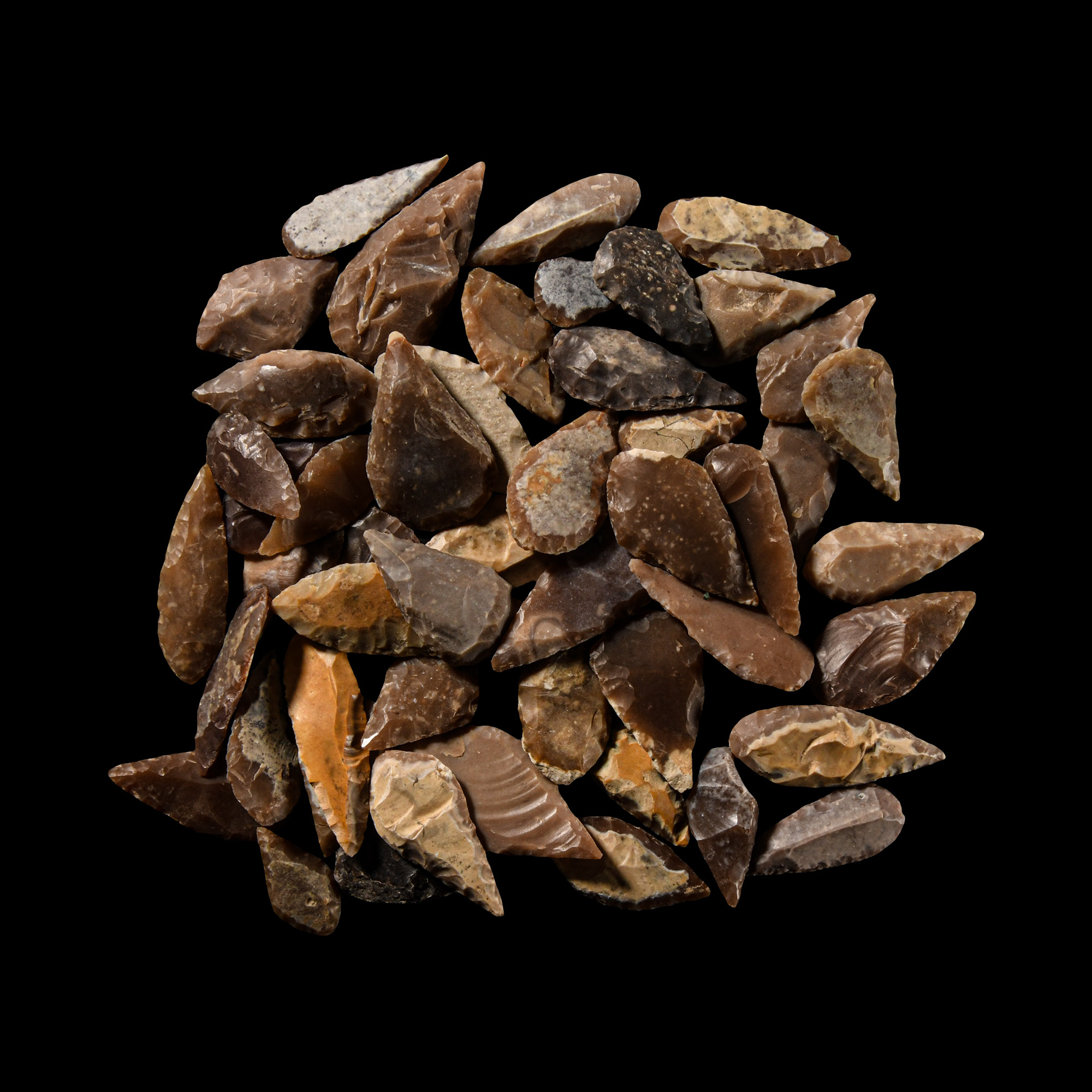 Stone Age Flint Leaf-Shaped Arrowhead Group