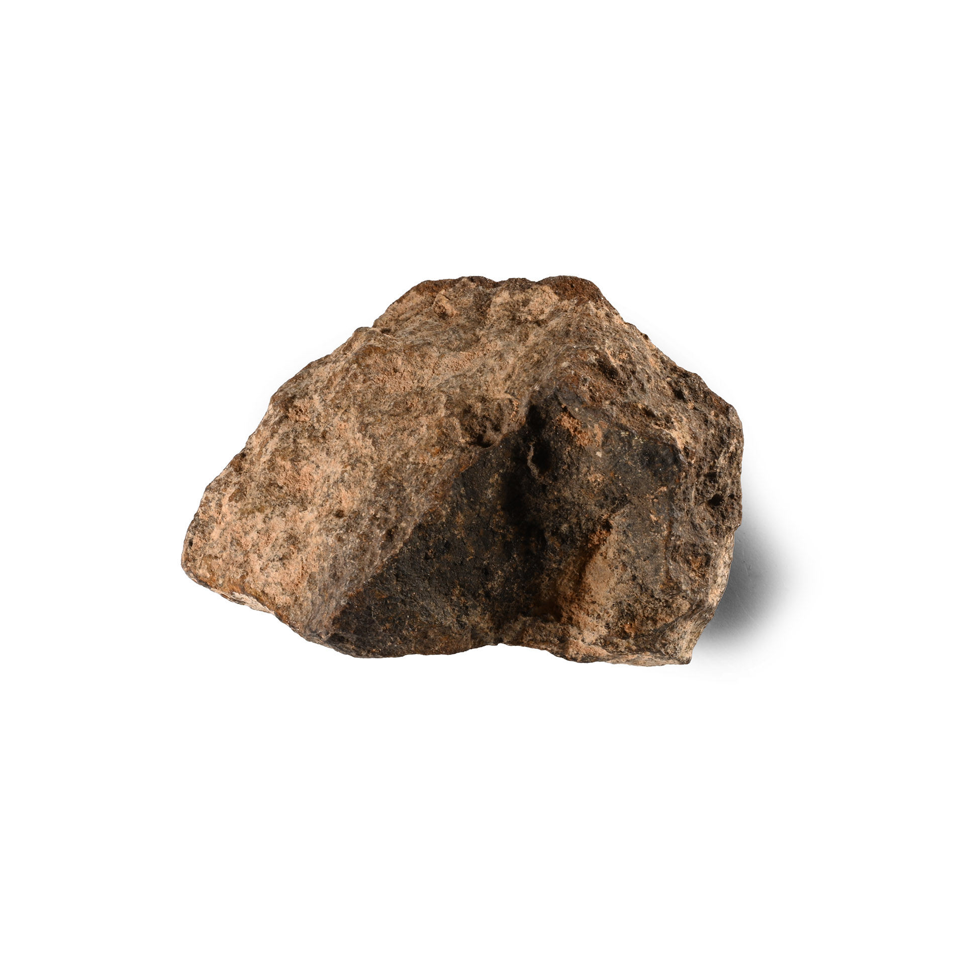 Natural History - Stony Iron Meteorite